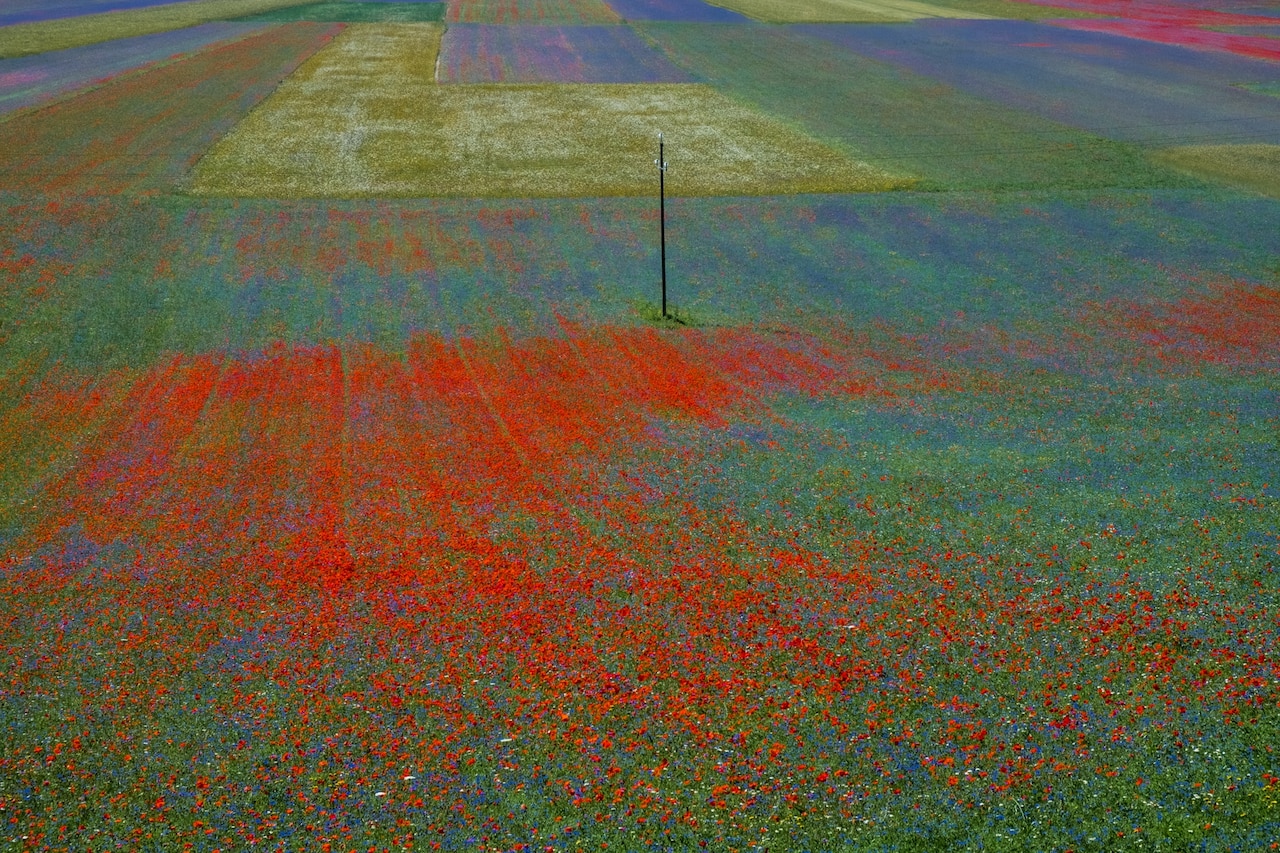 La%20Fiorita-3.jpg?w=1280&h=853
