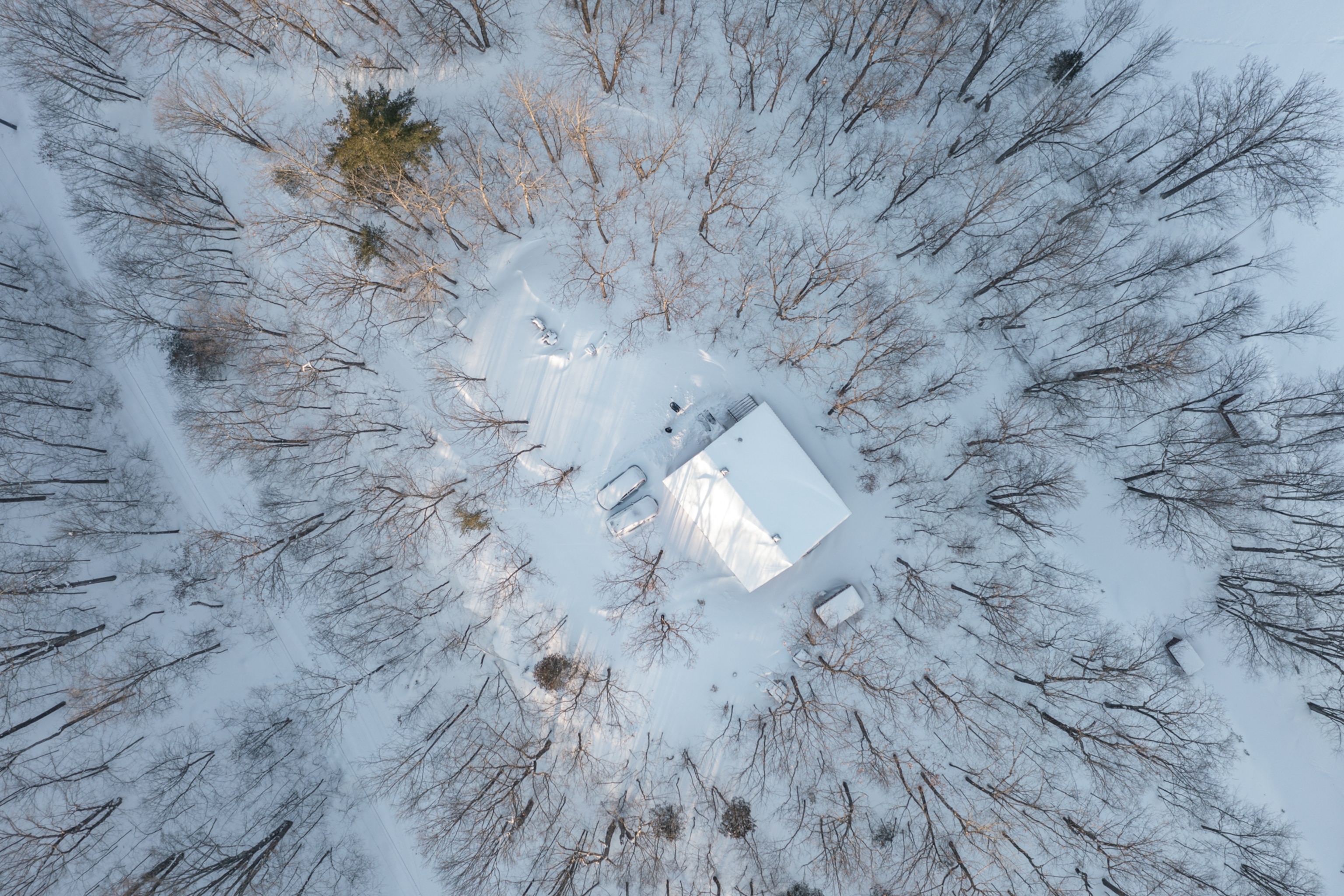 An aerial view of a small home building surrounded by trees and covered with snow.