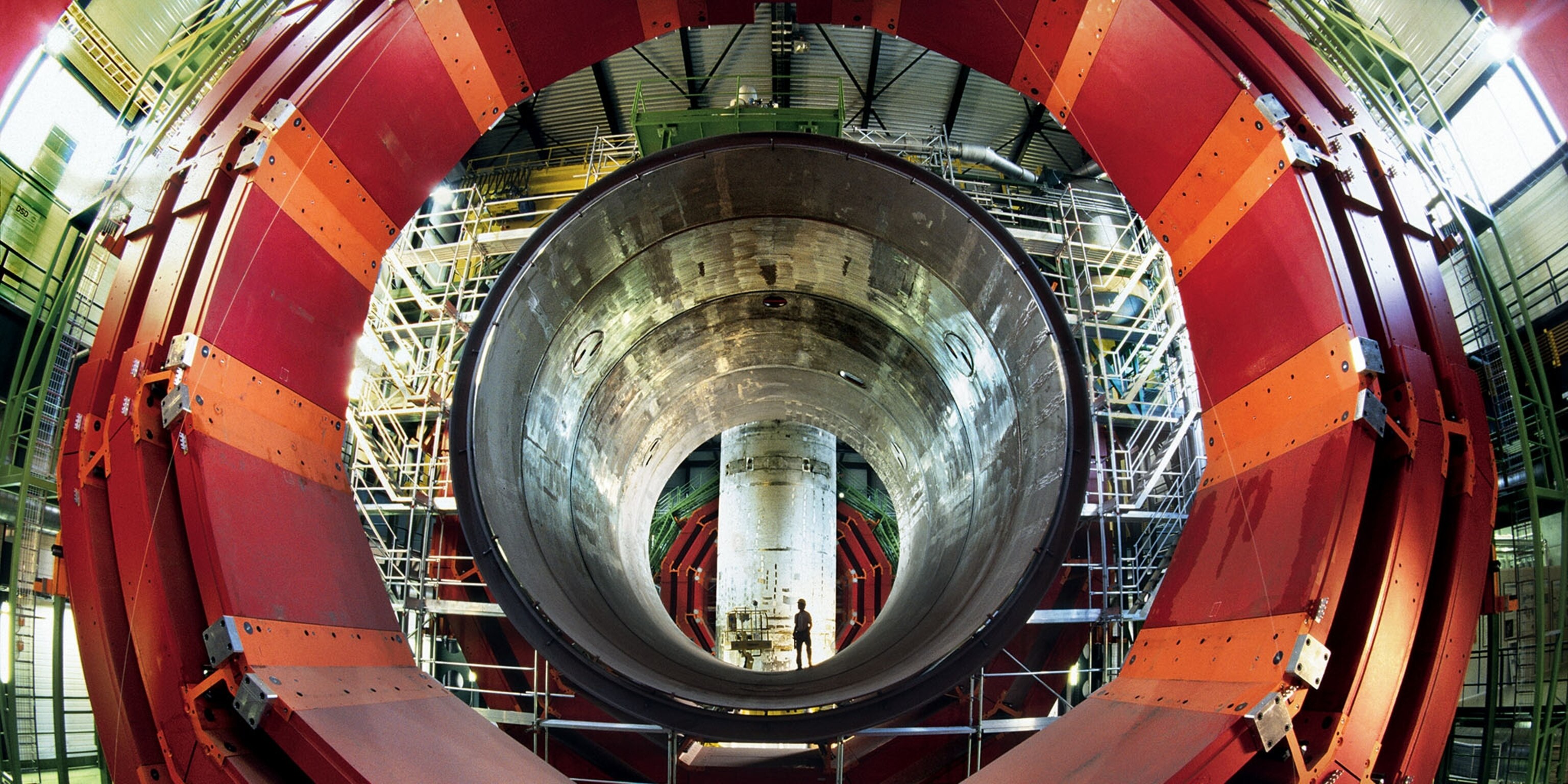 Large Hadron Collider Black Hole