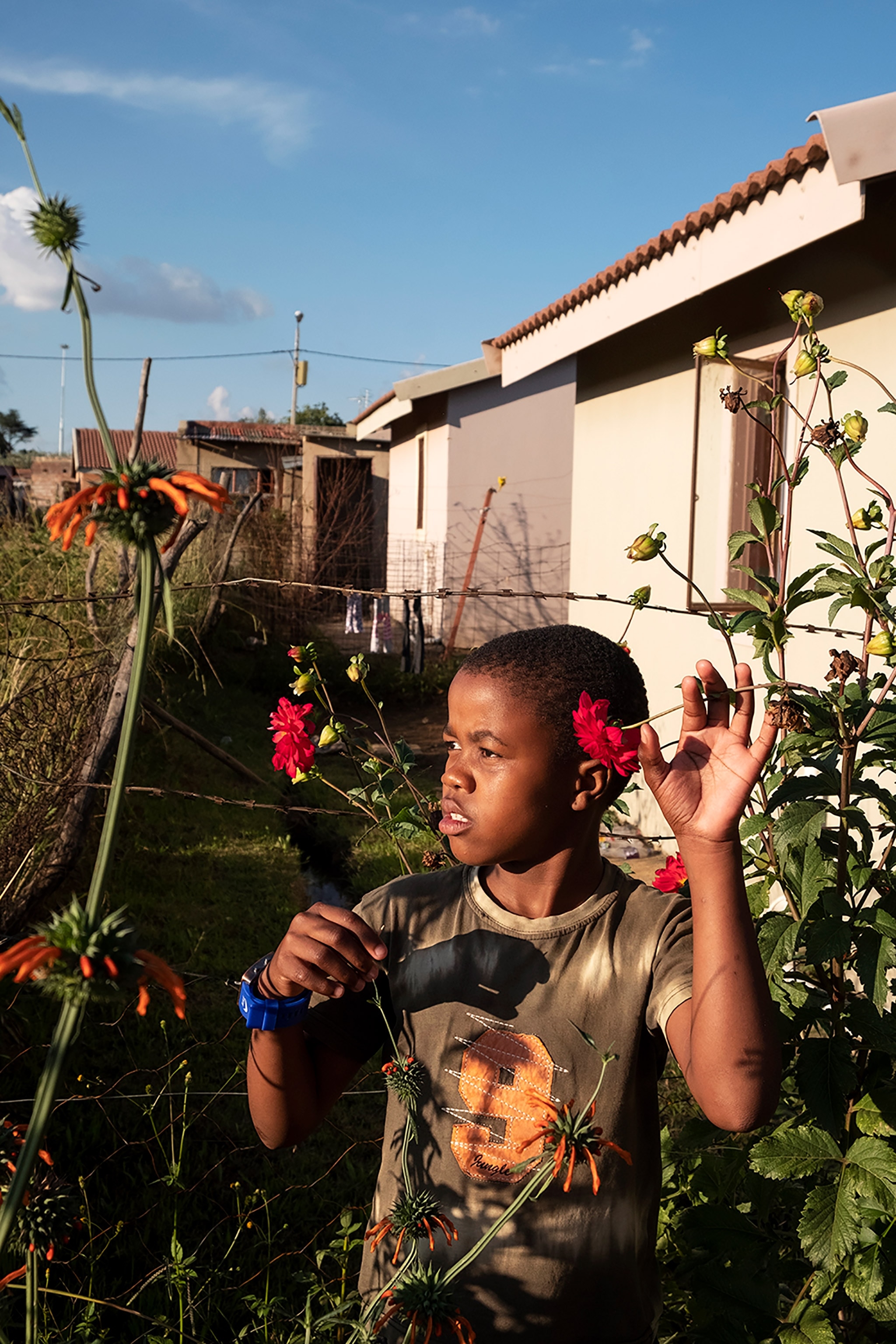 a young boy among red flowers in a garden