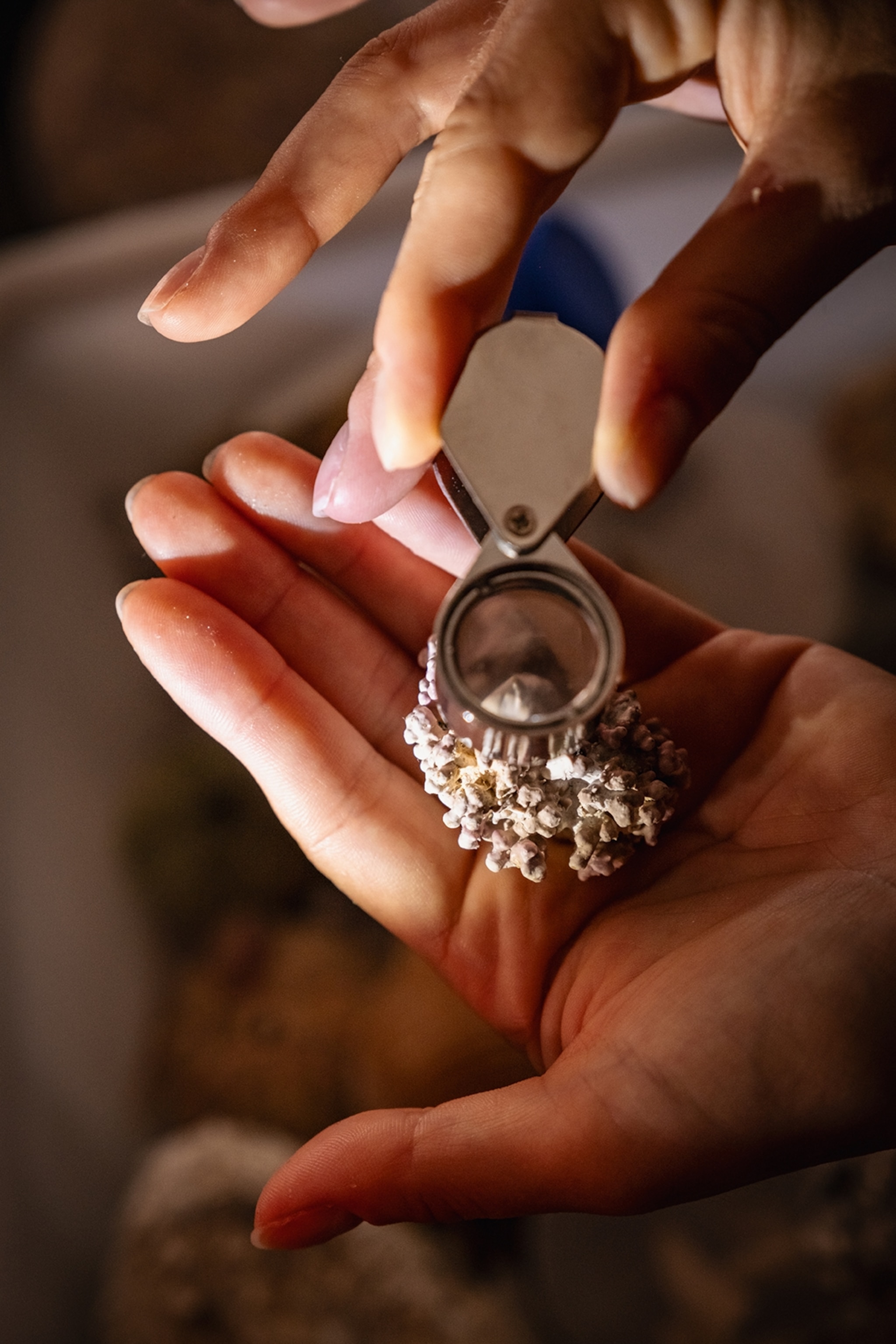 A close-up of a coral probe in the hands of a marine biologist.
