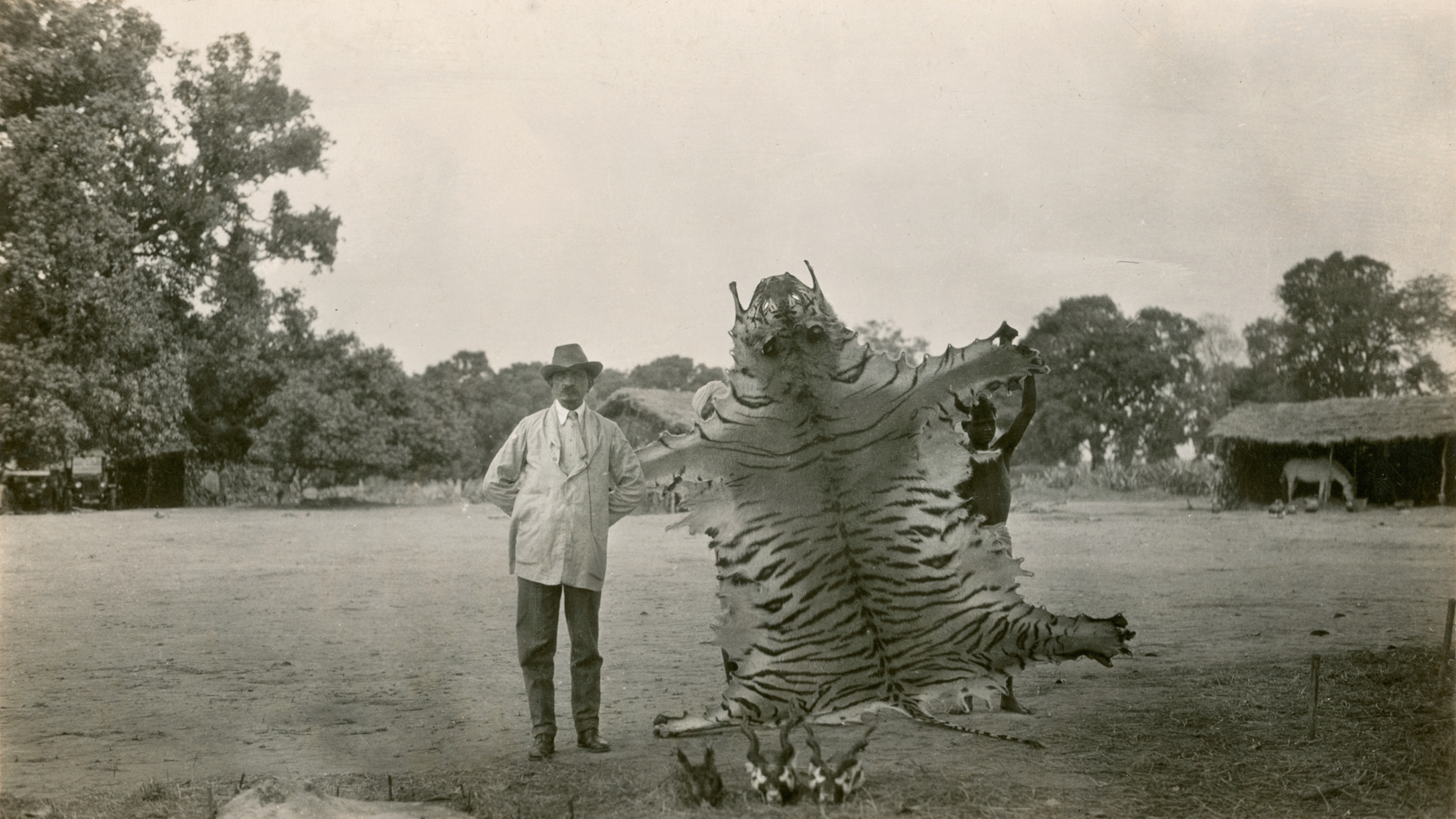 Tiger Hunting in India 1924