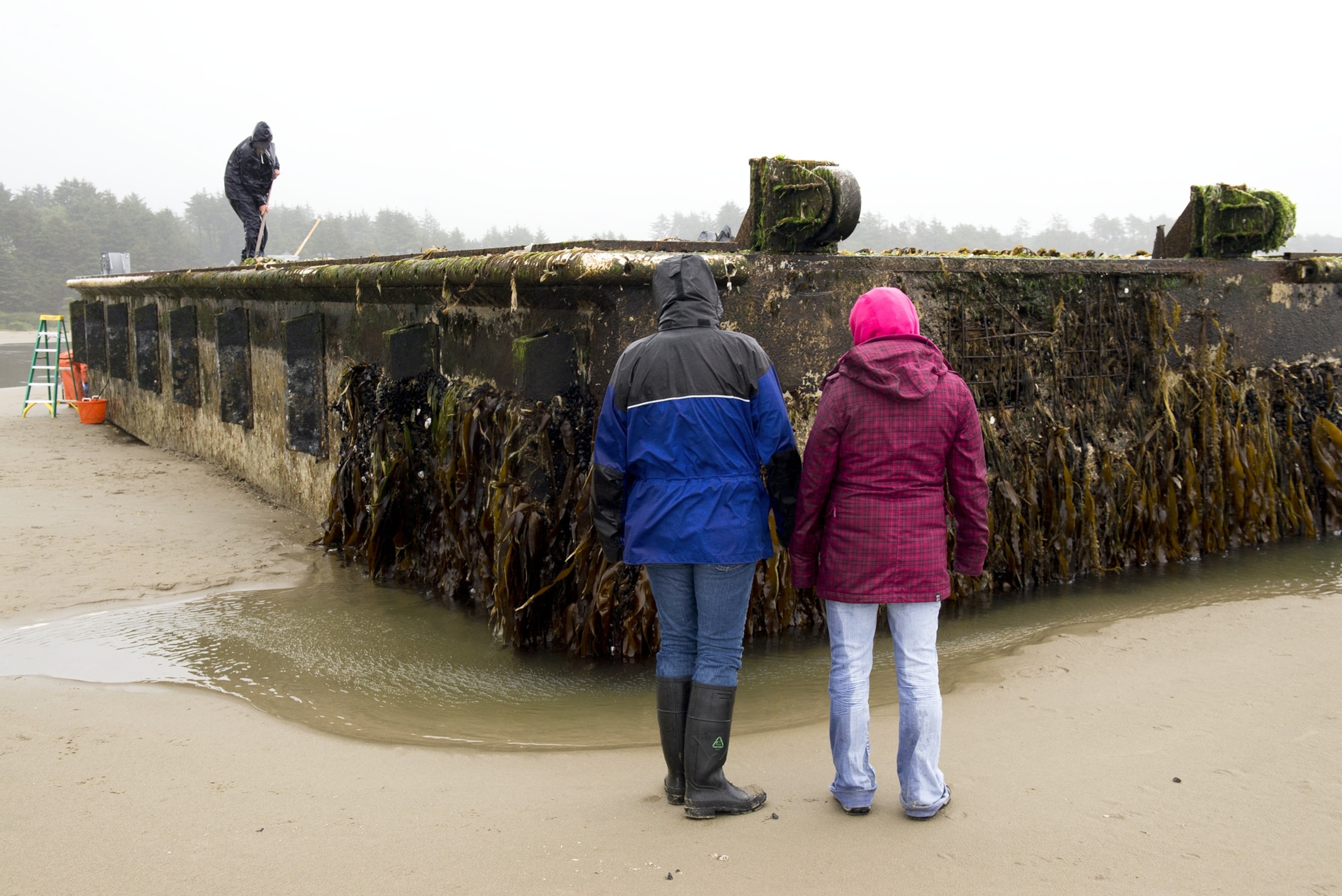 Pictures: Tsunami Dock Is 