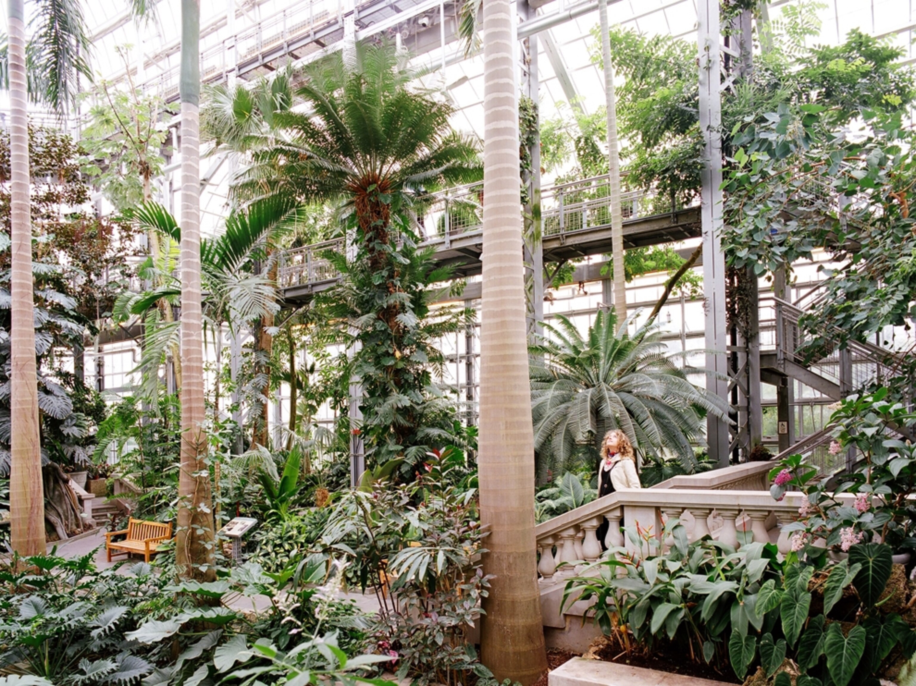 Botanical garden at National Mall, Washington D.C.