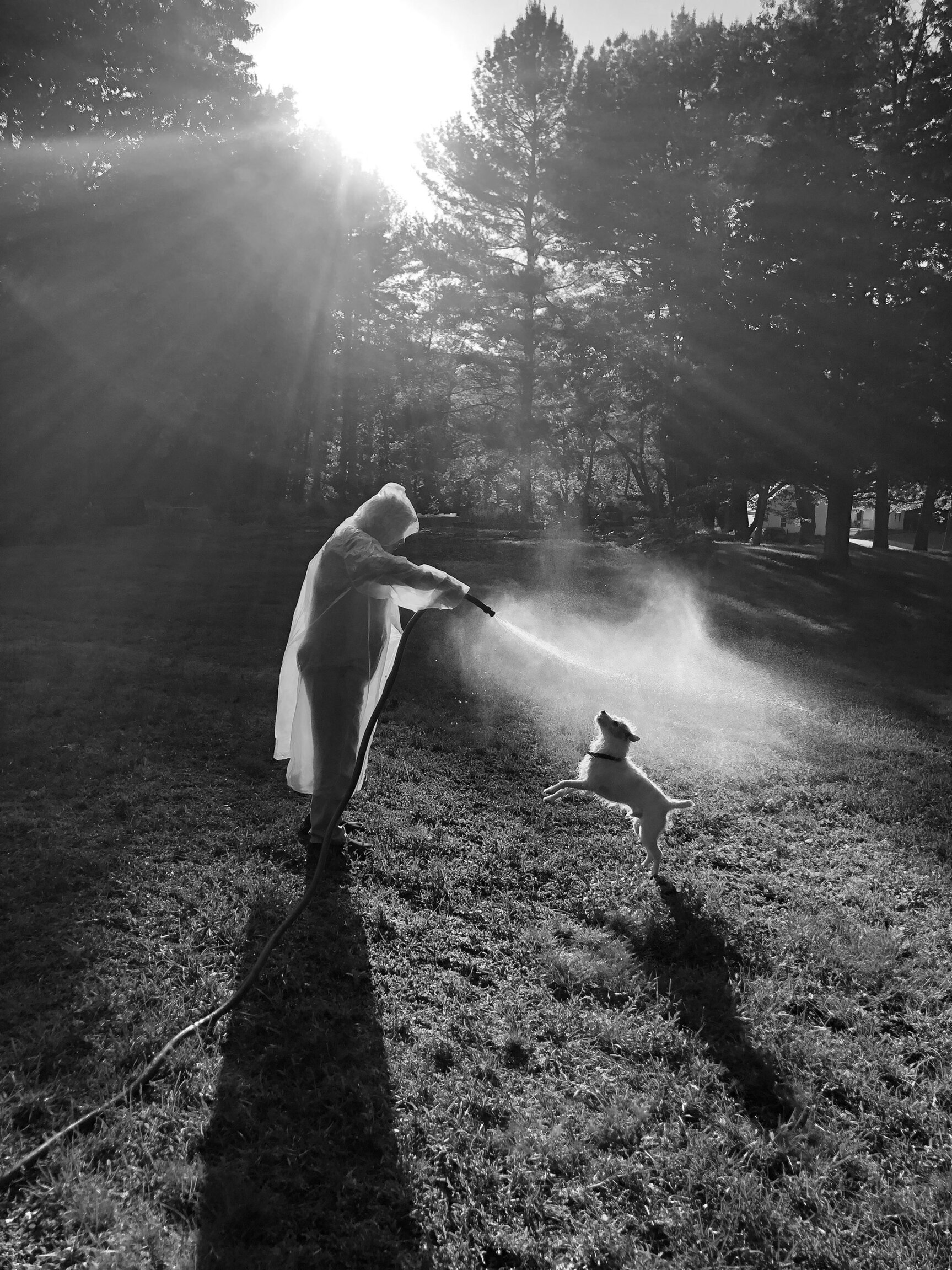 A woman with a garden hose playing with her dog