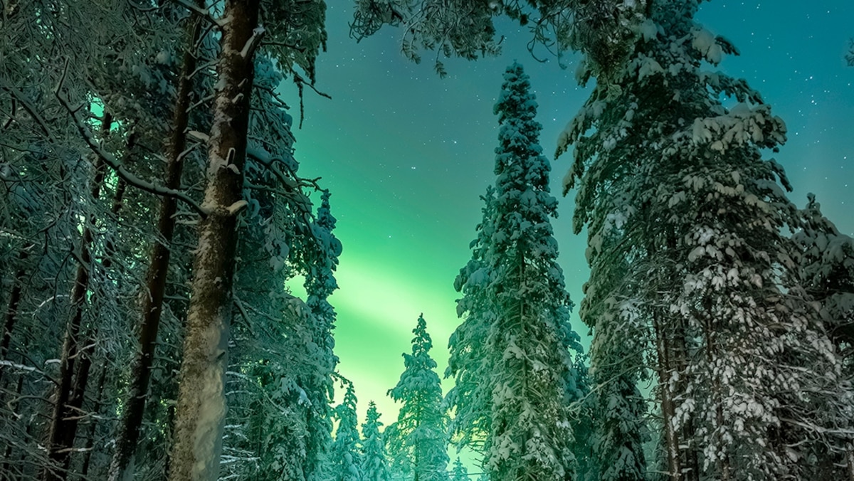 Where to travel in February