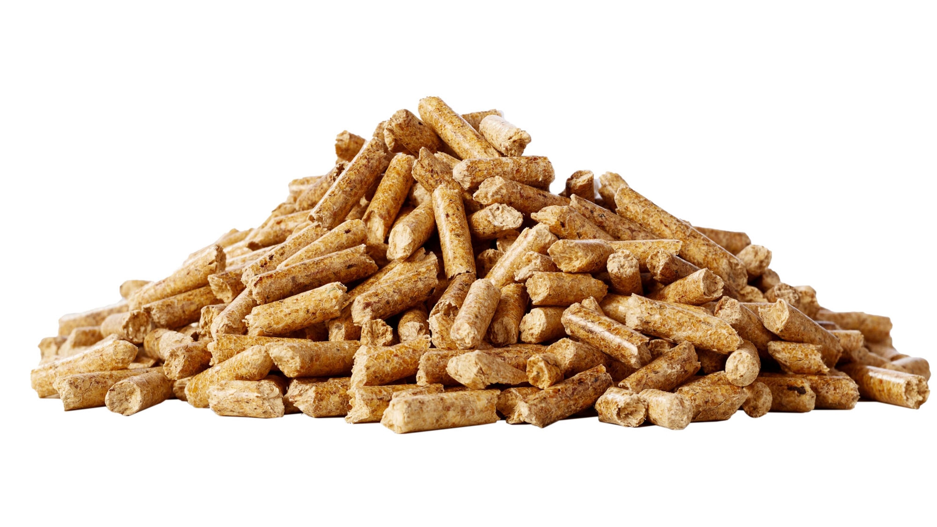 5 ways you can keep the clean this summer