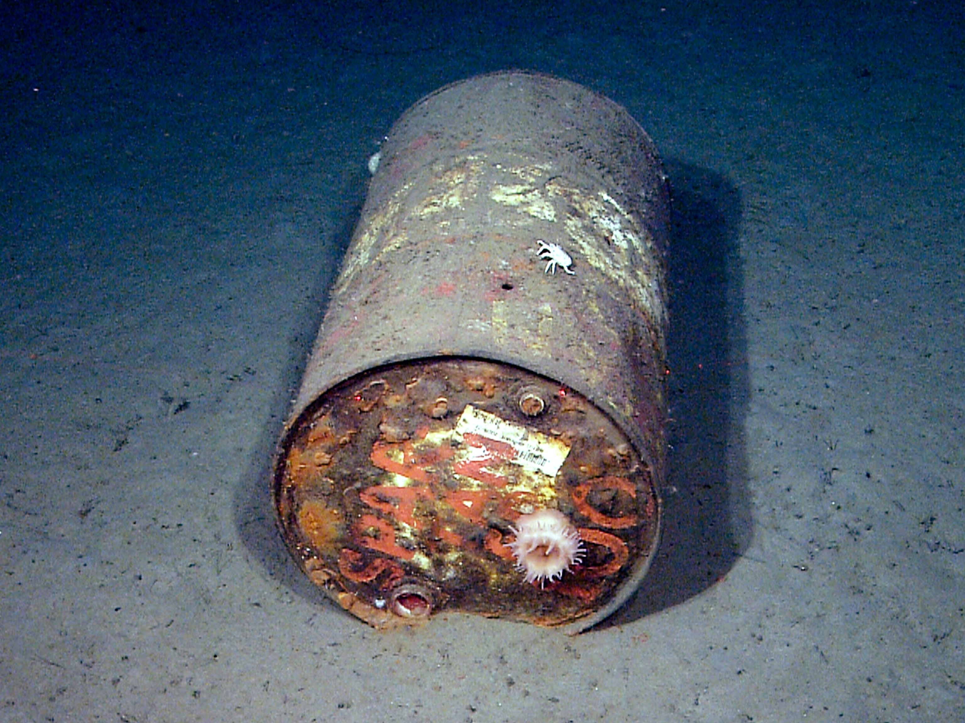 an oil drum on the seafloor in Monterey Canyon