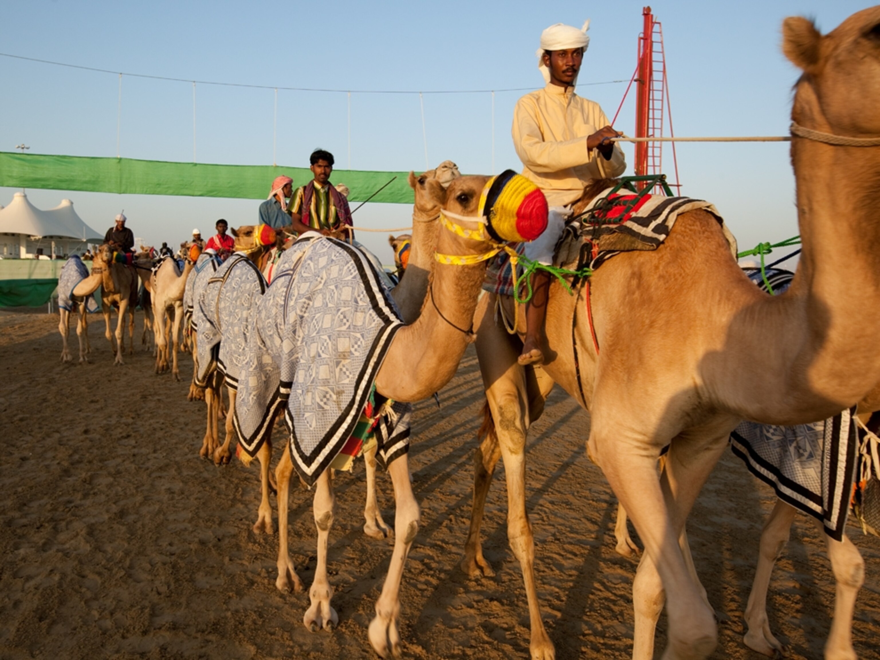 Men ride camels to starting line (photo)
