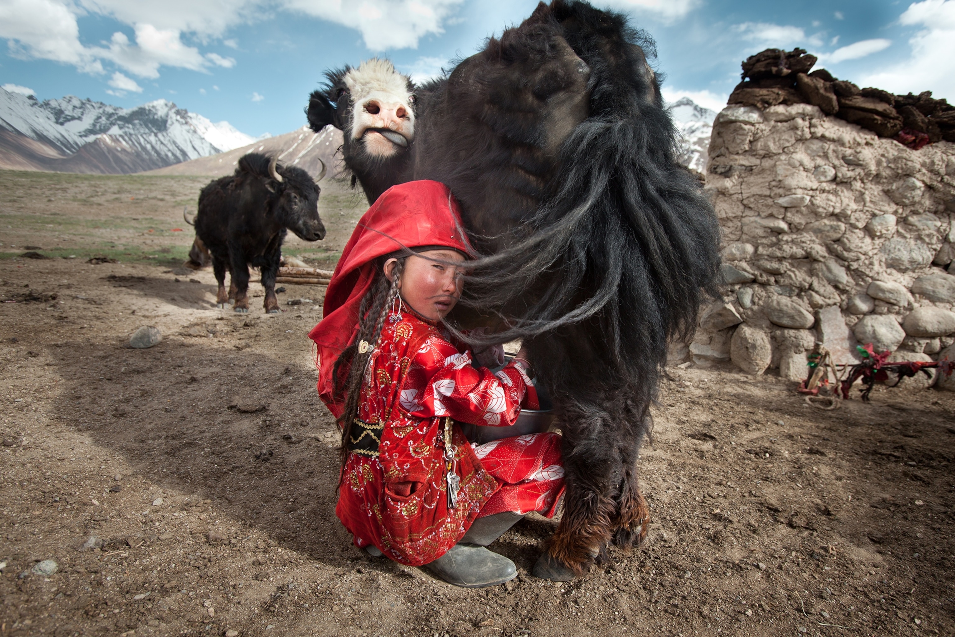 Ayeem Khan milks the family yak usually twice a day - morning and evening.