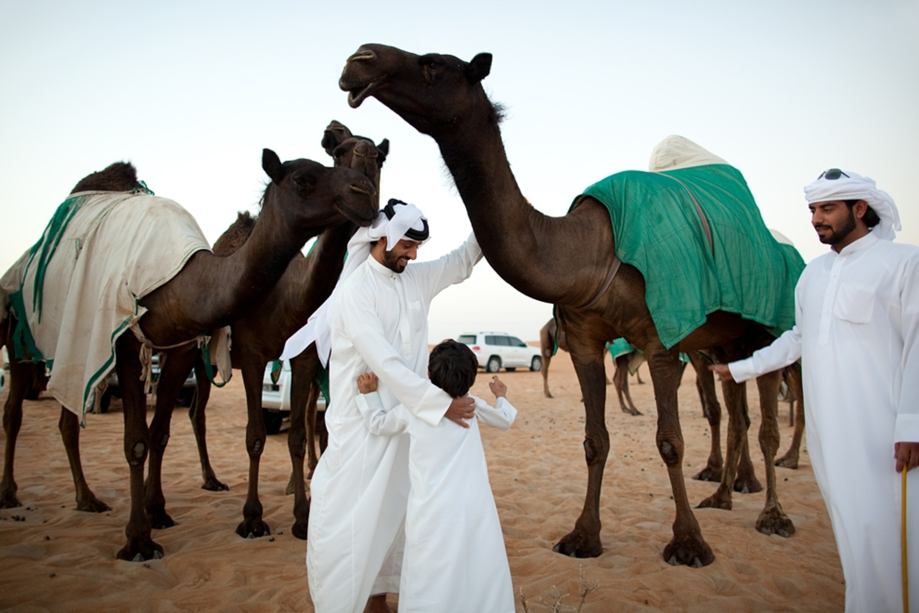 A father and son stand near camels