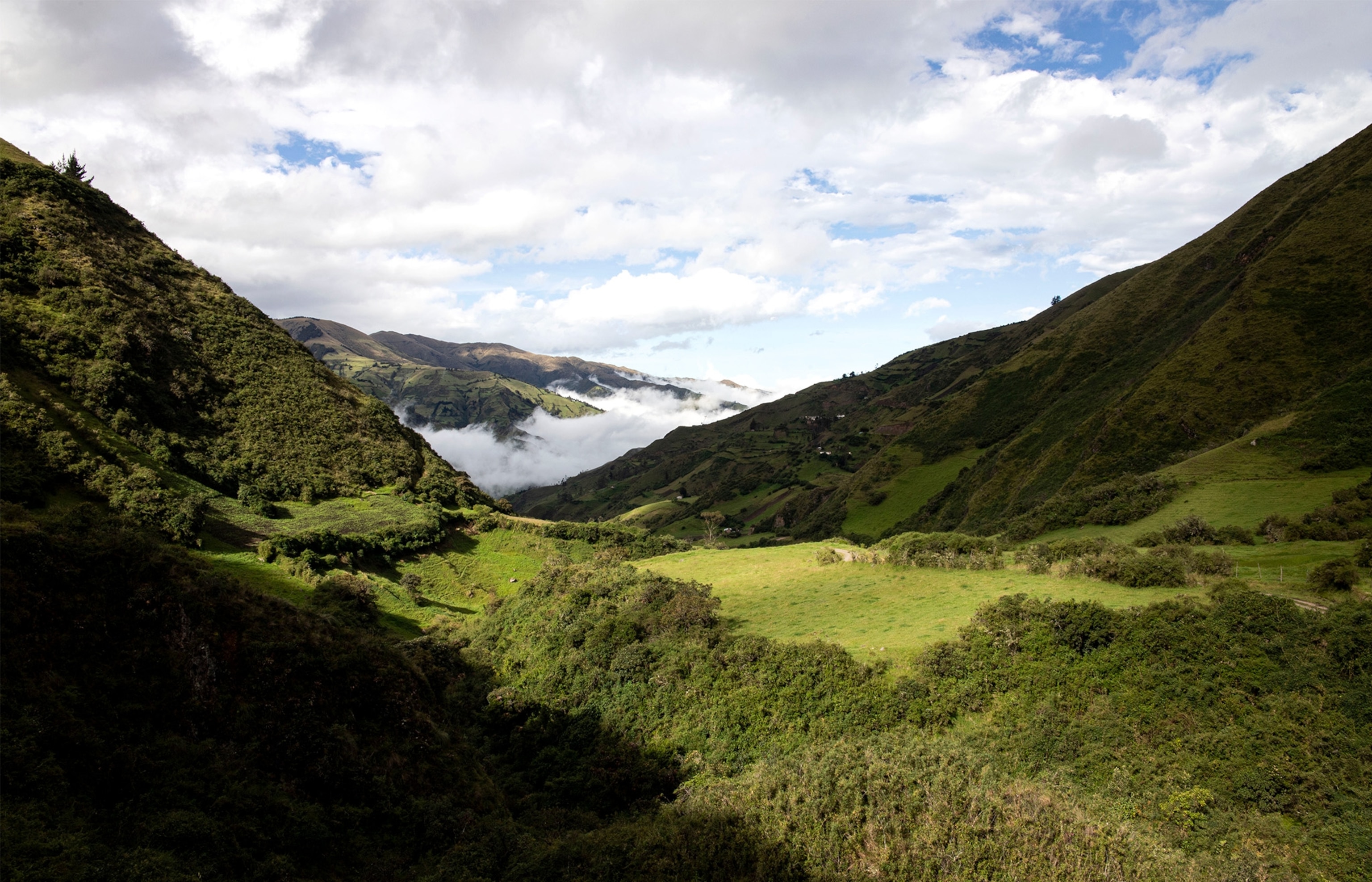 Rolling hills of green grass fill the foreground with the sky and fog creeping in the background.