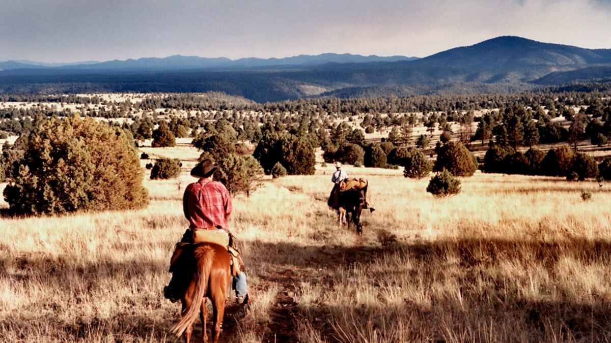 Horsepack the Gila Wilderness, New Mexico, Best American Adventures