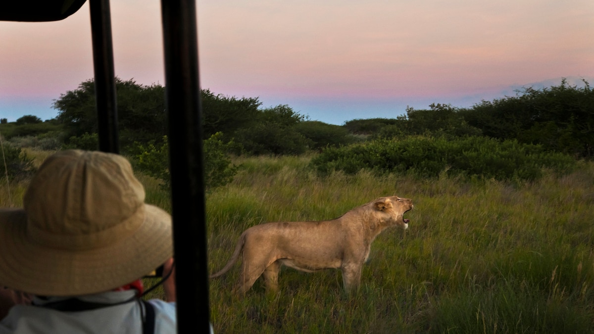 Hunting in Montana : 2025 Nonresident Application Guide visual data 2