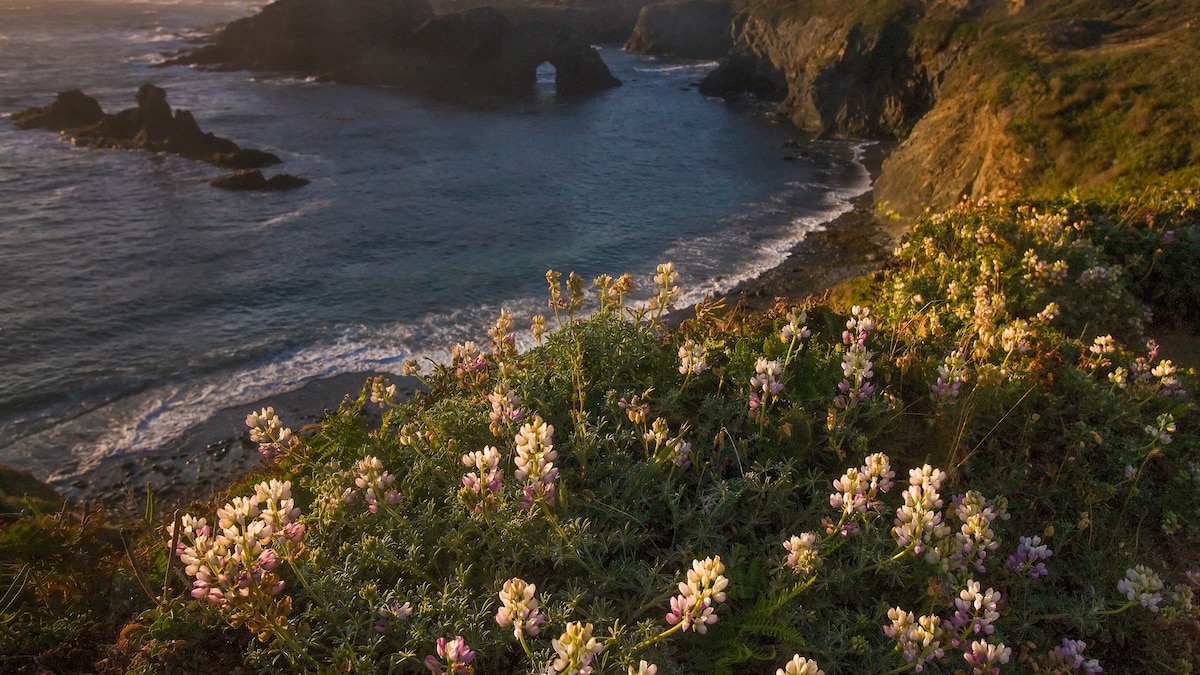 Go beyond the beach at these inclusive coastal destinations - Vimarsana News