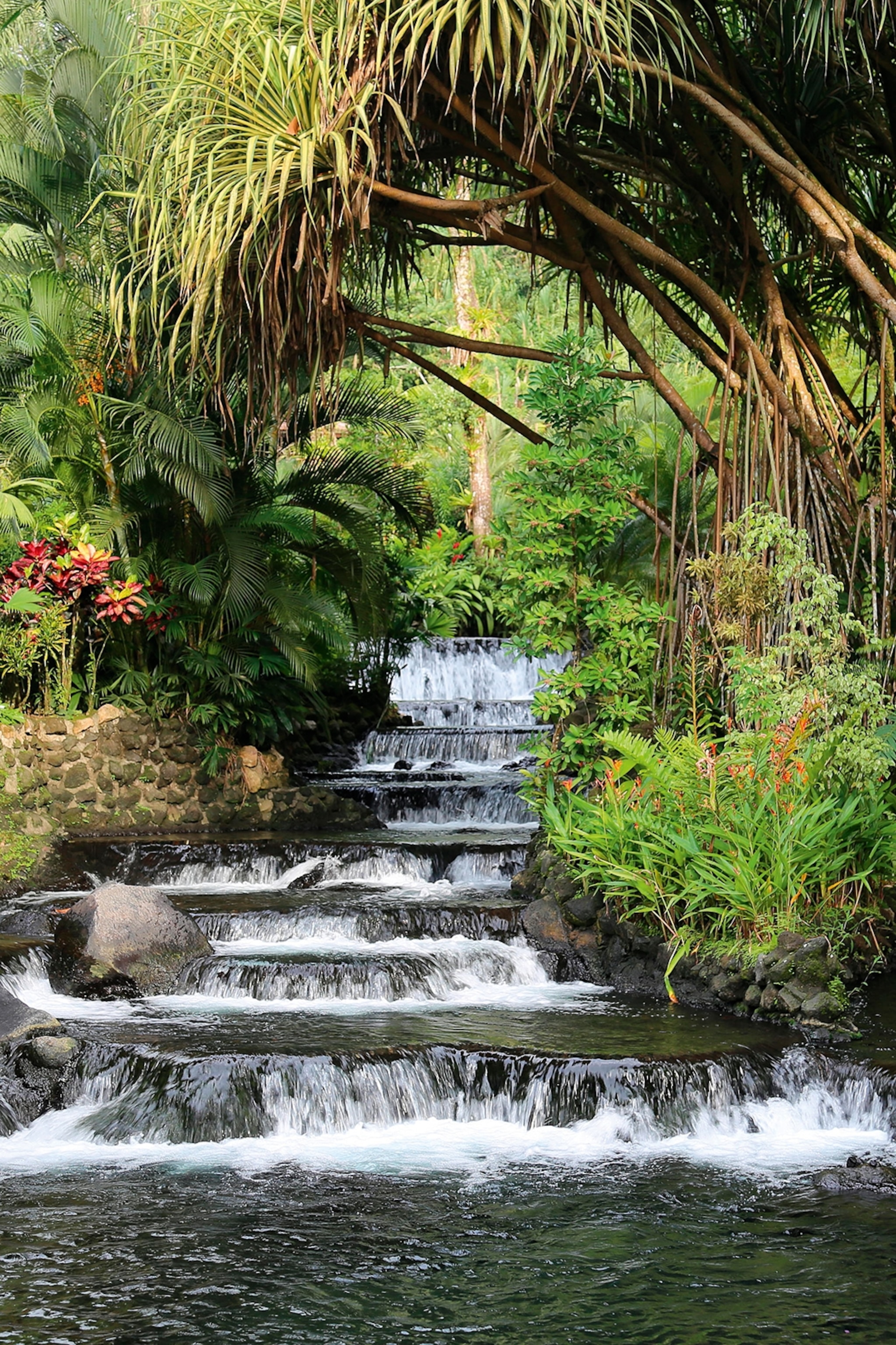 A thermal spring in the tropical forests of Costa Rica with a terraced waterfall.