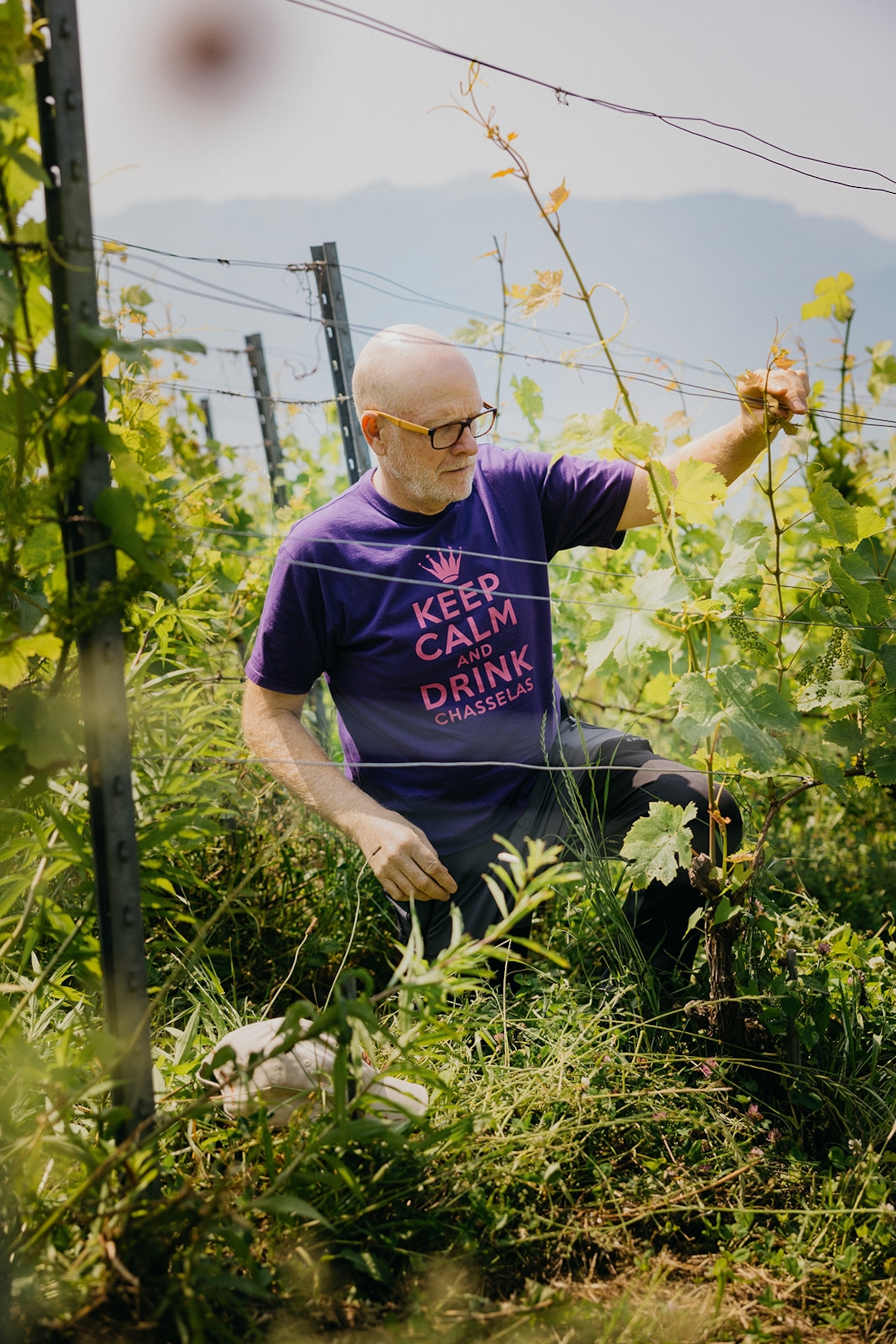 A middle-aged man wearing a graphic T-Shirt on the hills of a vineyard, pruning the plants.
