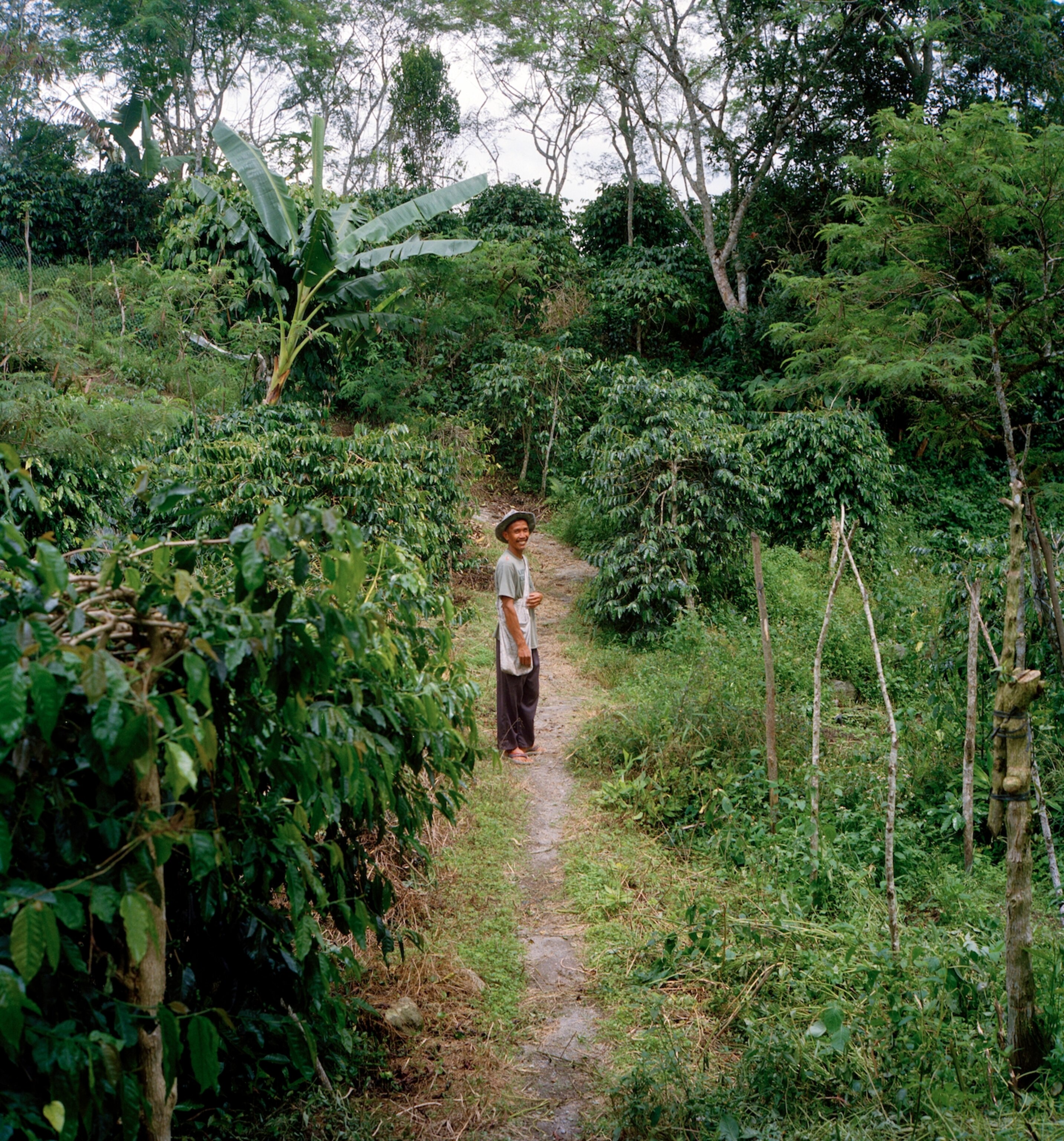 Coffee Craftsmanship in Indonesia