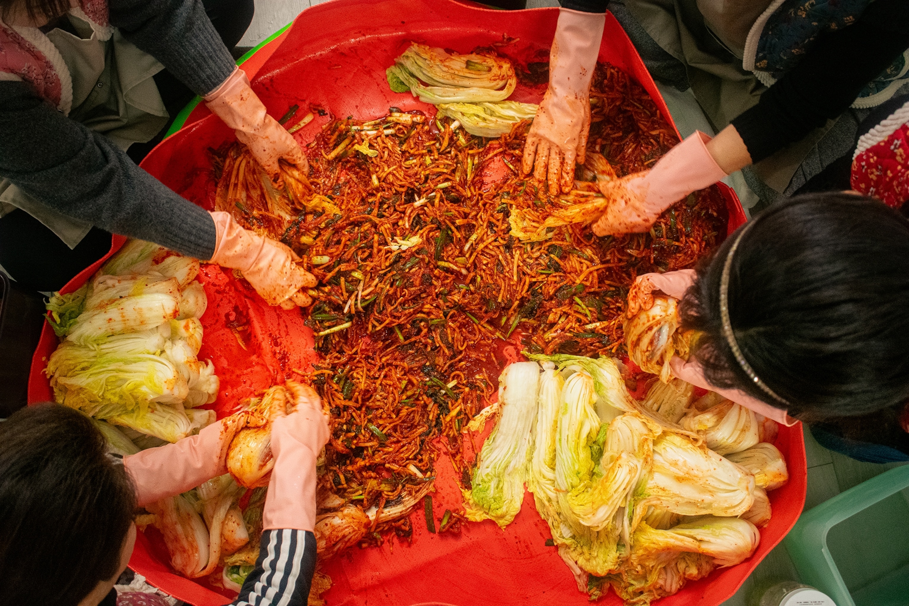 An aerial shot over a childen's pool filled with cabbages and a spice past as four sets of hands mix the paste.