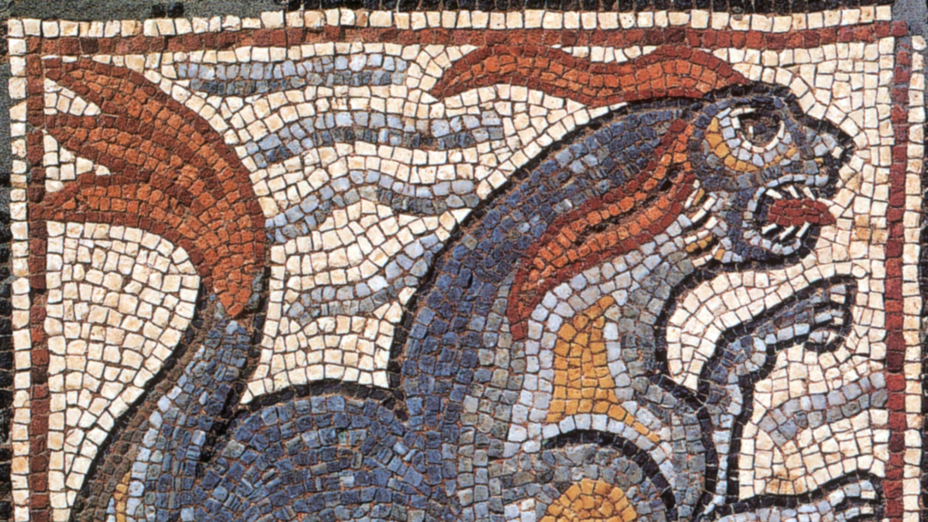 This sea monster sank ships off Constantinople for 50 years—was it an orca?