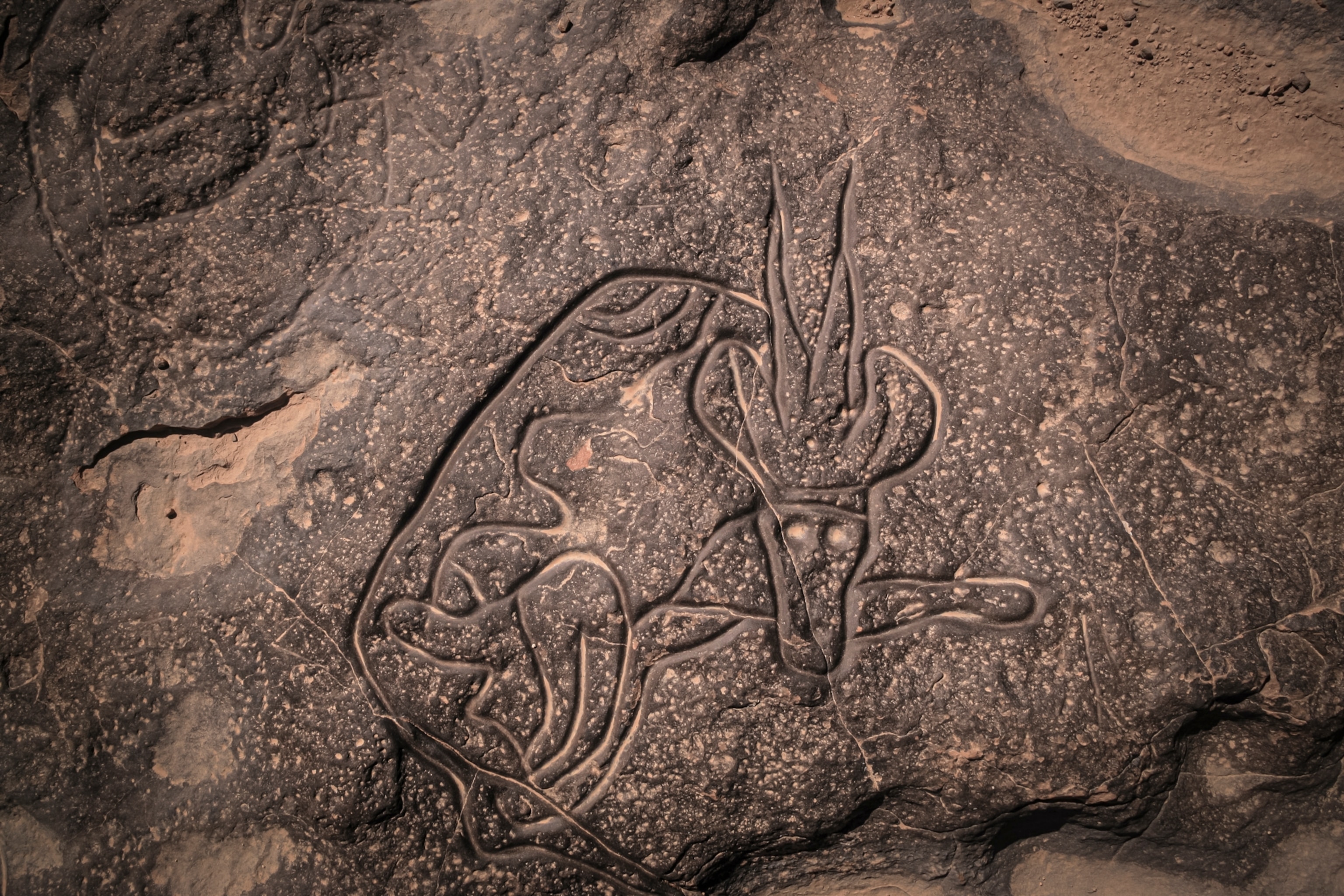 Tassili n'Ajjer タッシリ ナジェール・先史時代のアート（仏語版） Tassili n'Ajjer タッシリ ナジェール・先史時代のアート（仏語