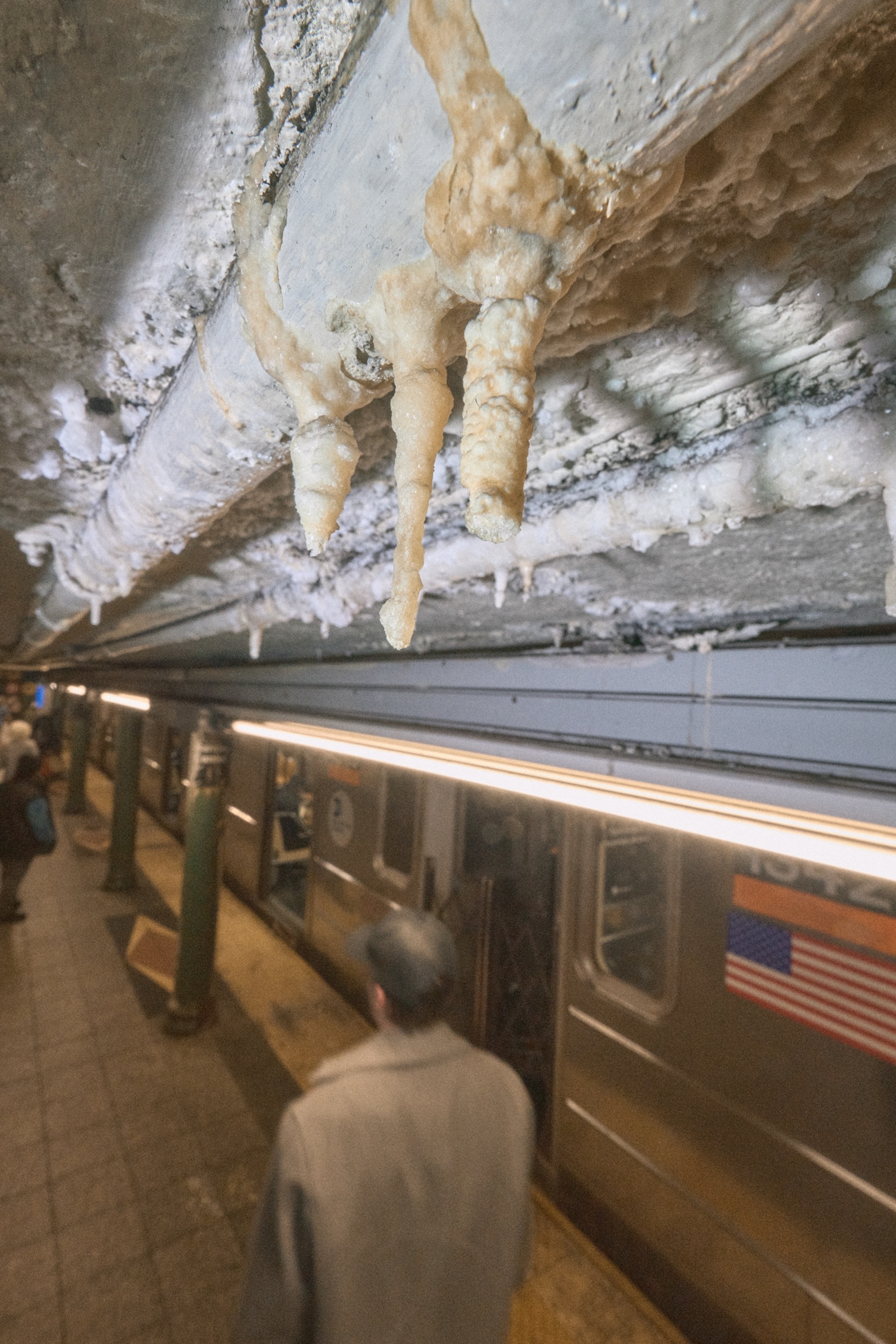 Calthemites hang off the roof of an NYC subway as a train passes by.