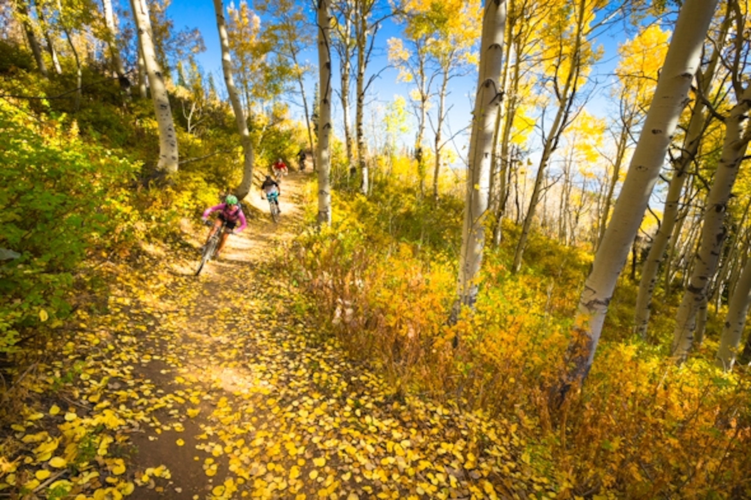 Photograph by Chad Spector