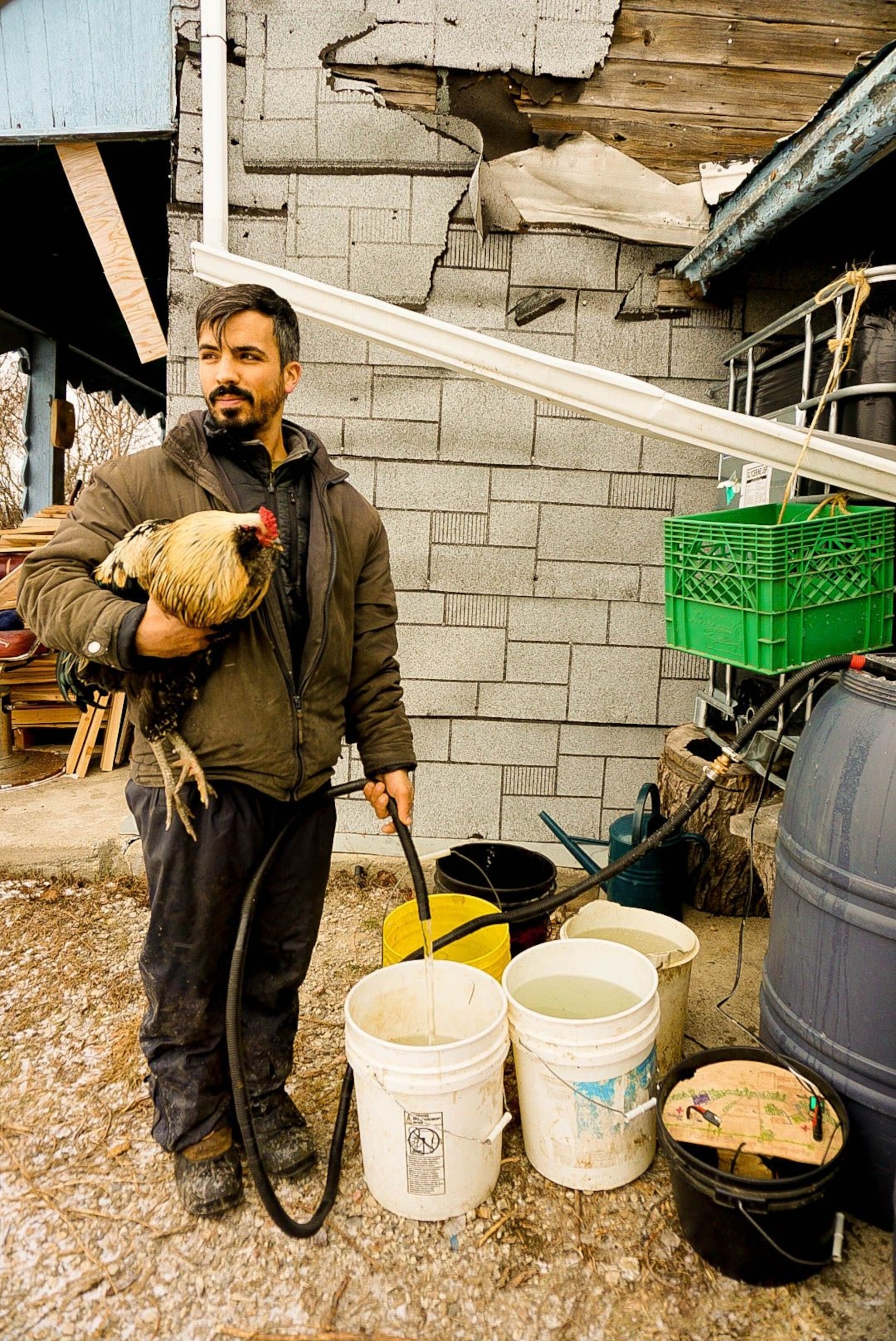 A man holds a chicken and fills a bucket