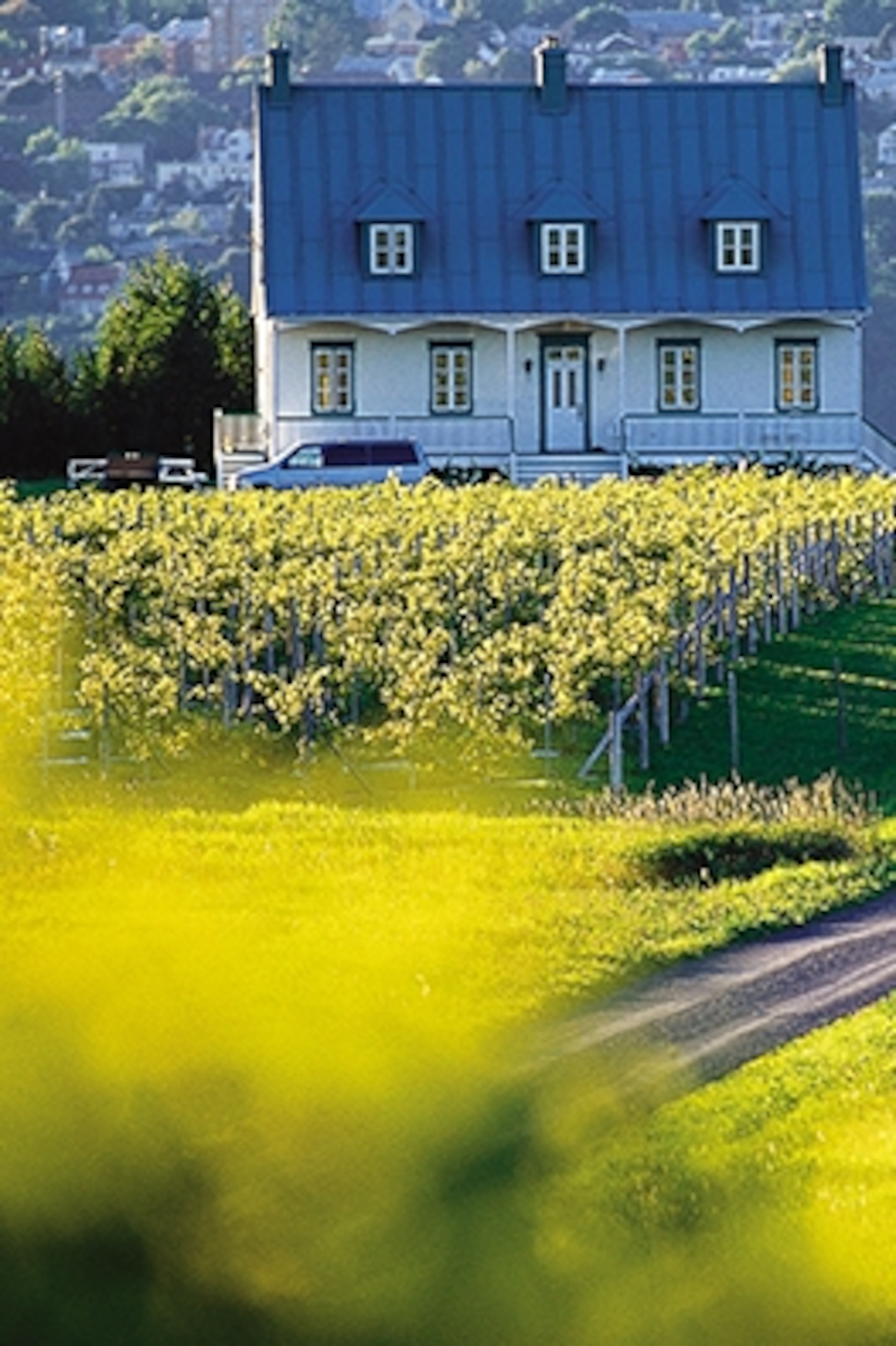 Ile D Orleans Parish By Parish