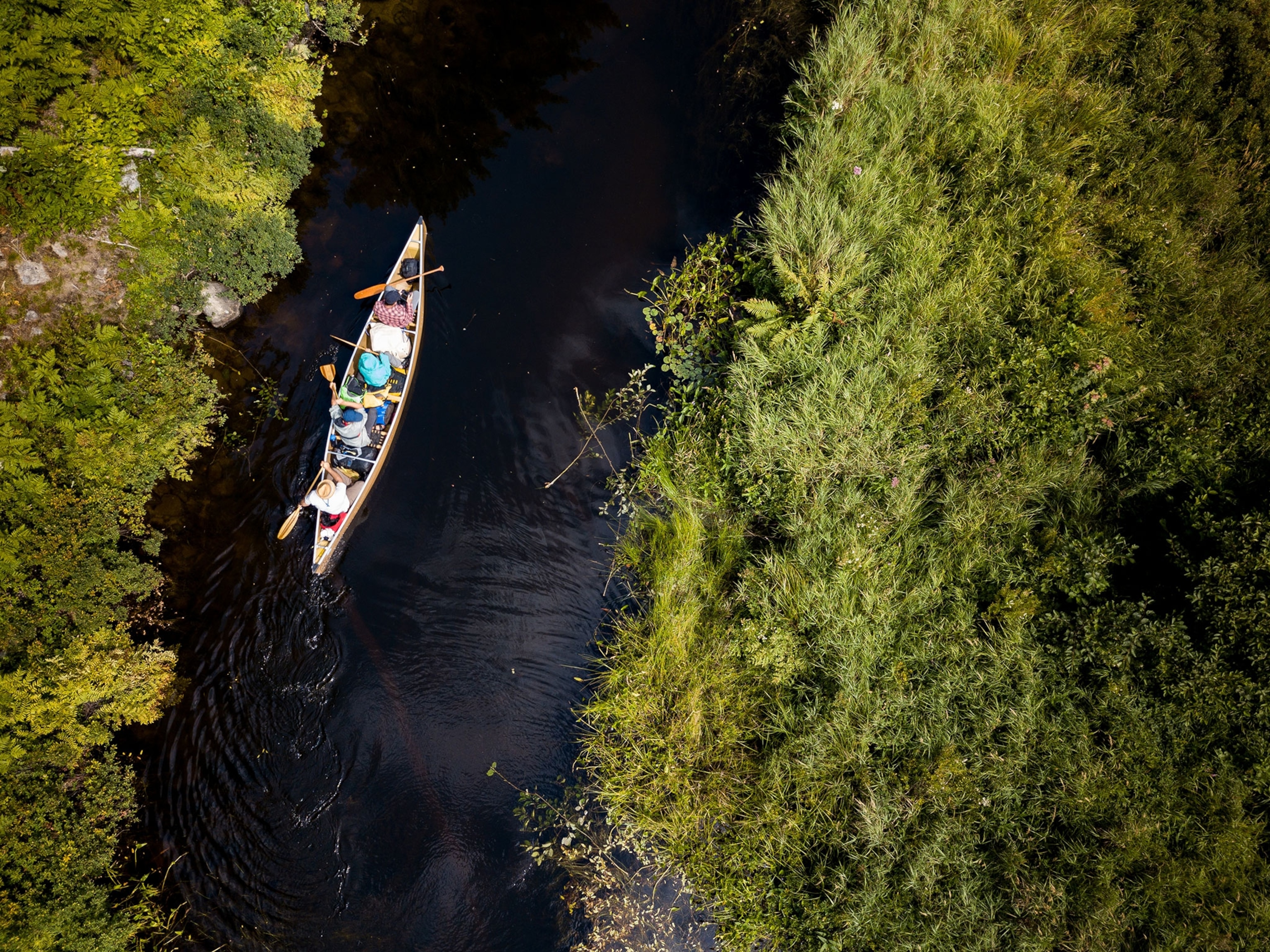 Overhead view of canoe traveling on waterways snaking through lush green Muskoka wilderness