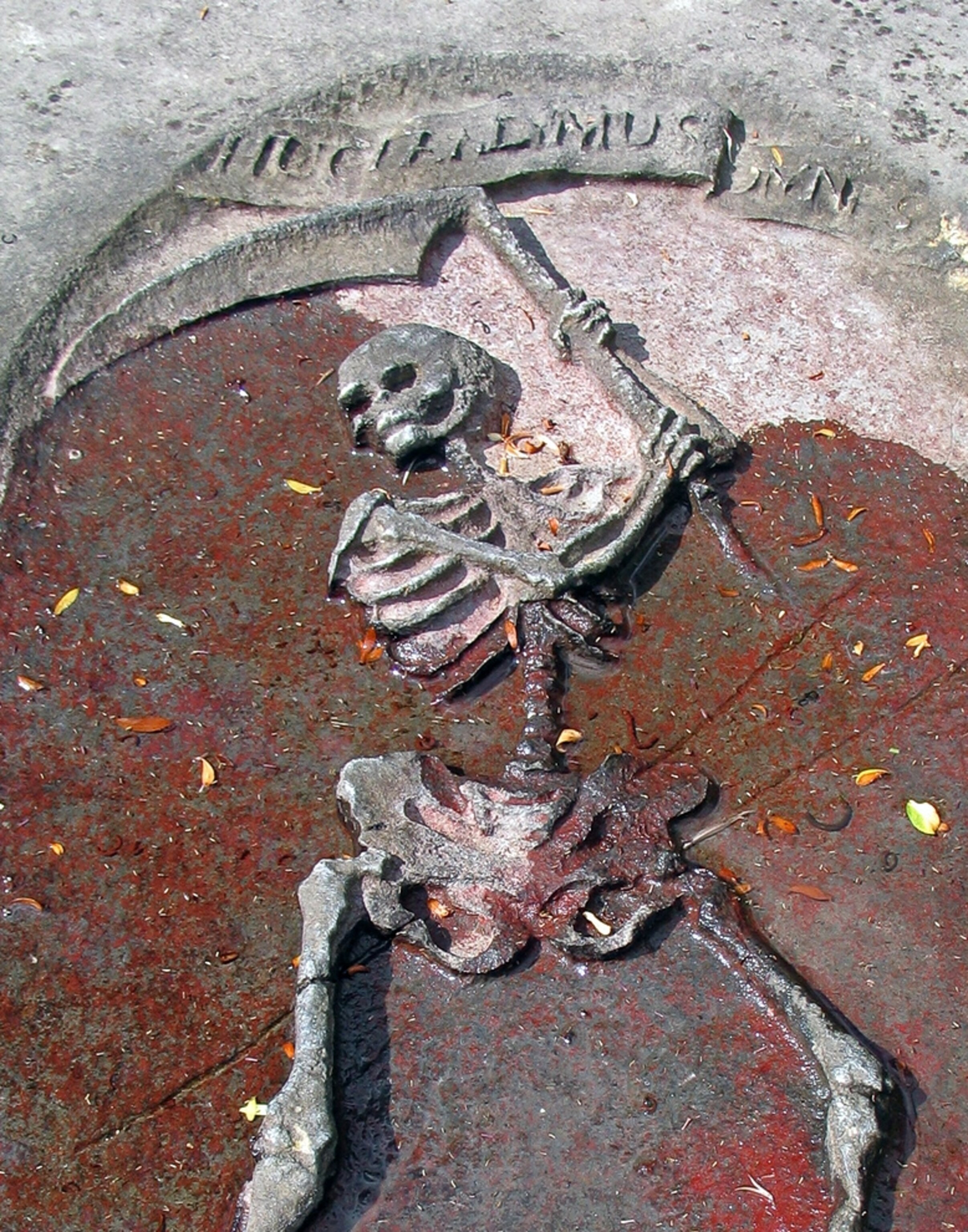 Skeleton picture: Beth Haim cemetery in the Netherlands is on the 2012 World Monuments Watch list