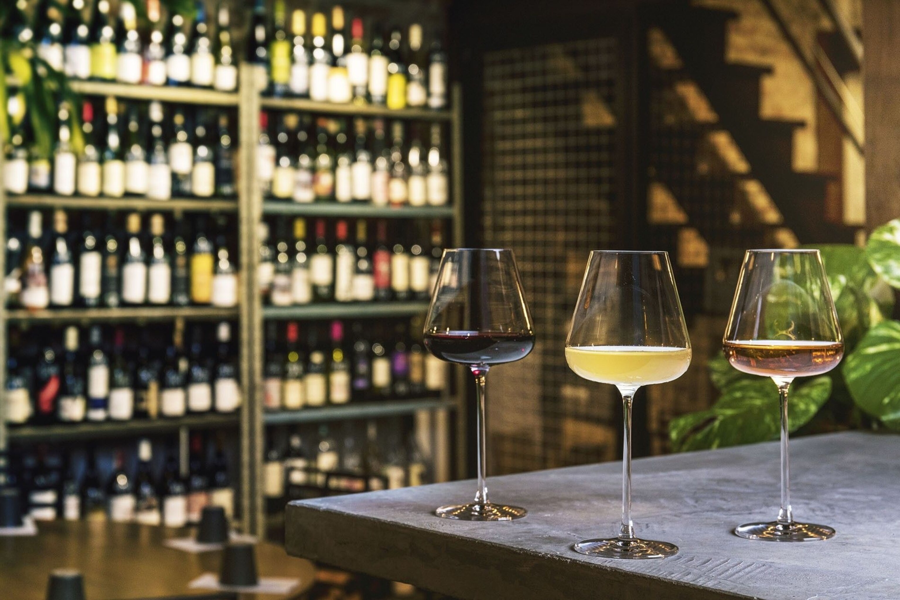 Natural wines at Cru Natural Wine Bar.