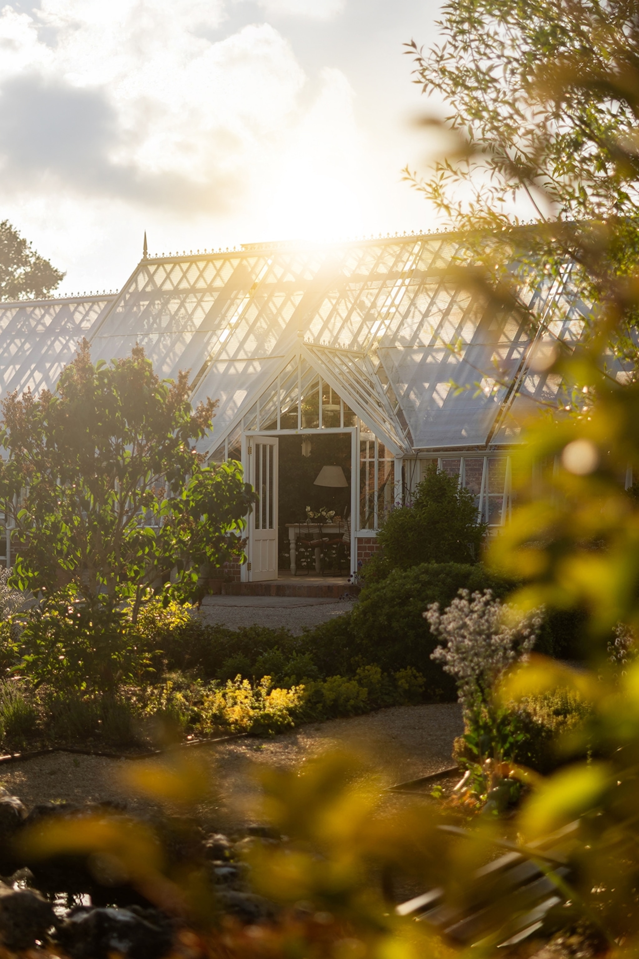 An outside greenhouse surrounded by bushes in the blinding evening sun.