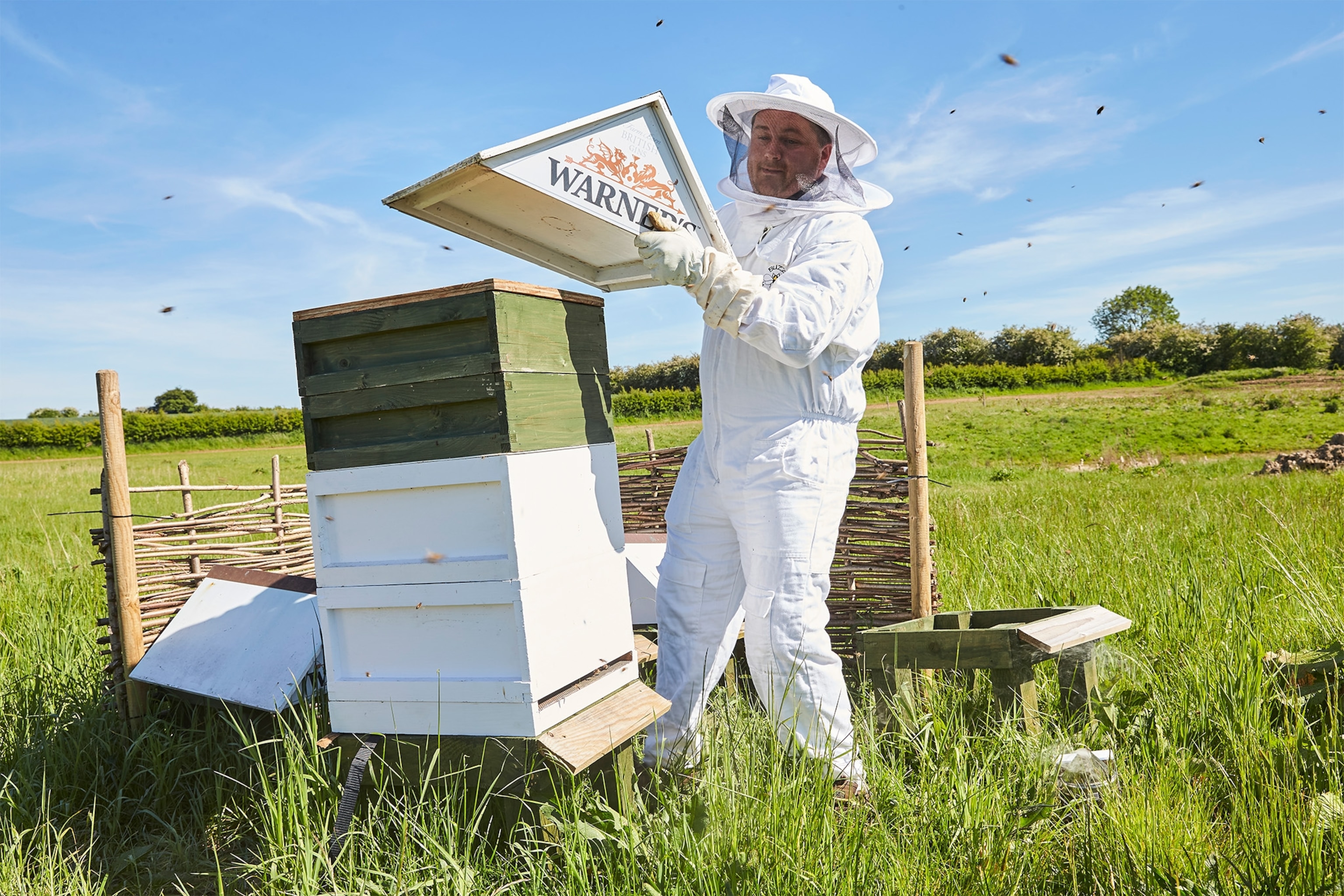man handling bees