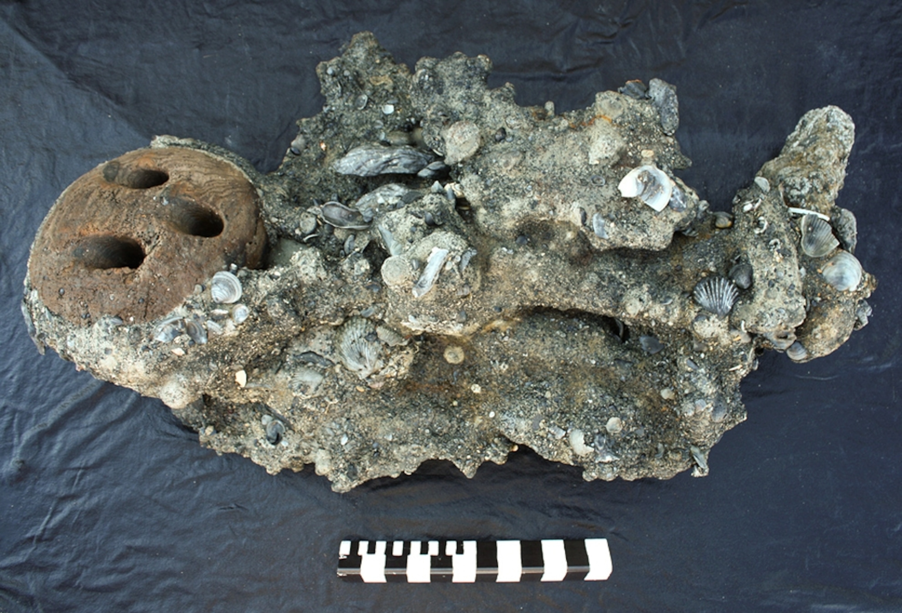 Deadeye pulley-- picture from a photo gallery on a partial sword found at the shipwreck site of the Queen Anne's Revenge, the pirate Blackbeard's flagship.