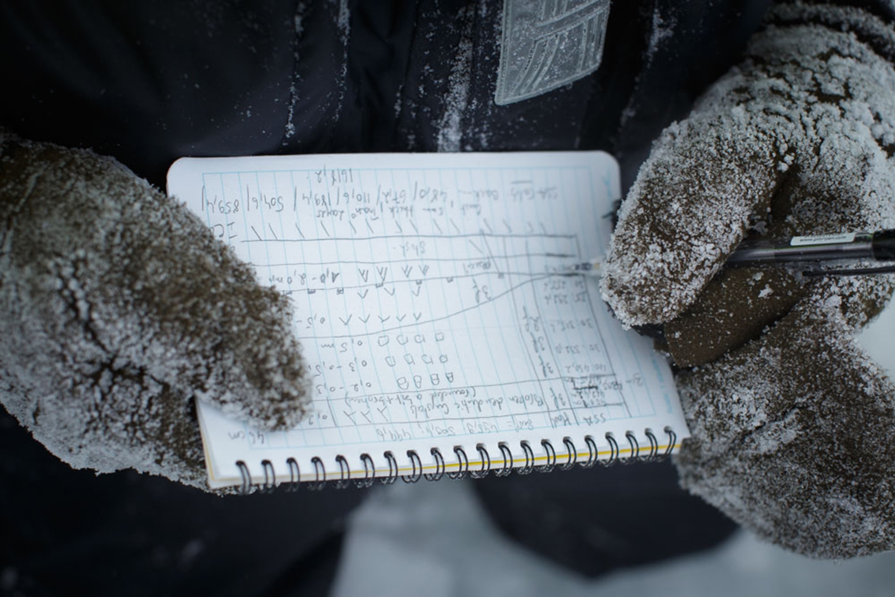 snow physicist Jean Charles Gallet noting observations about the layering of a snow pit
