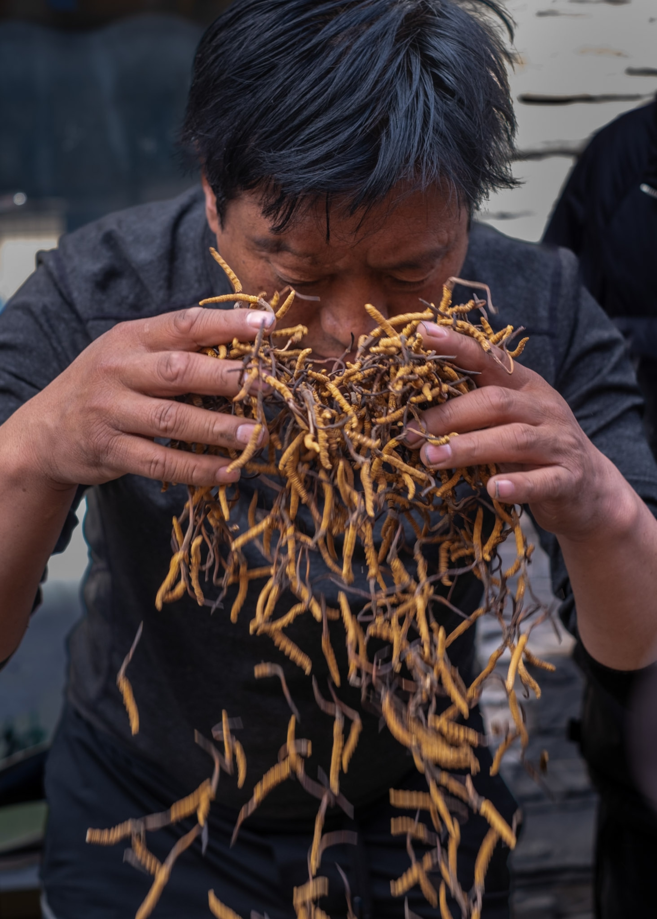 The fungus in &lsquo;The Last of Us&rsquo; is real—and it&rsquo;s very expensive
