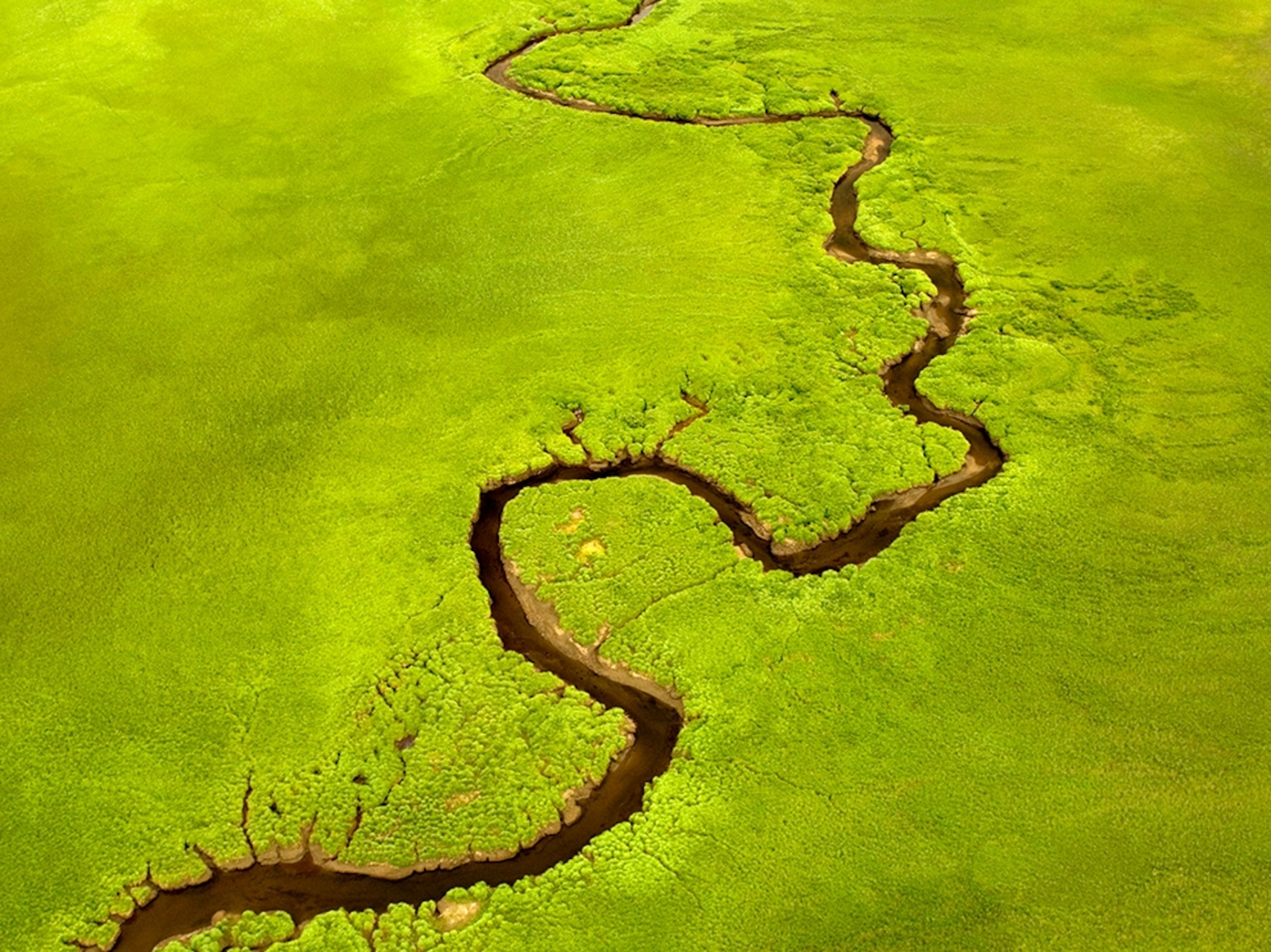 the headwaters of the Skeena River in the area of the Sacred Headwaters.