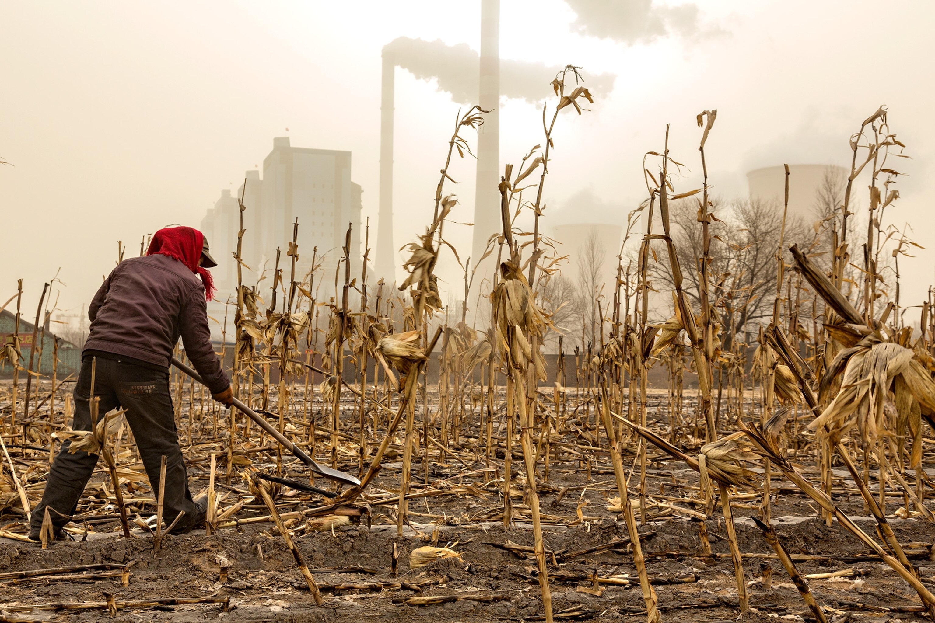 a farmer next to a power plant in China
