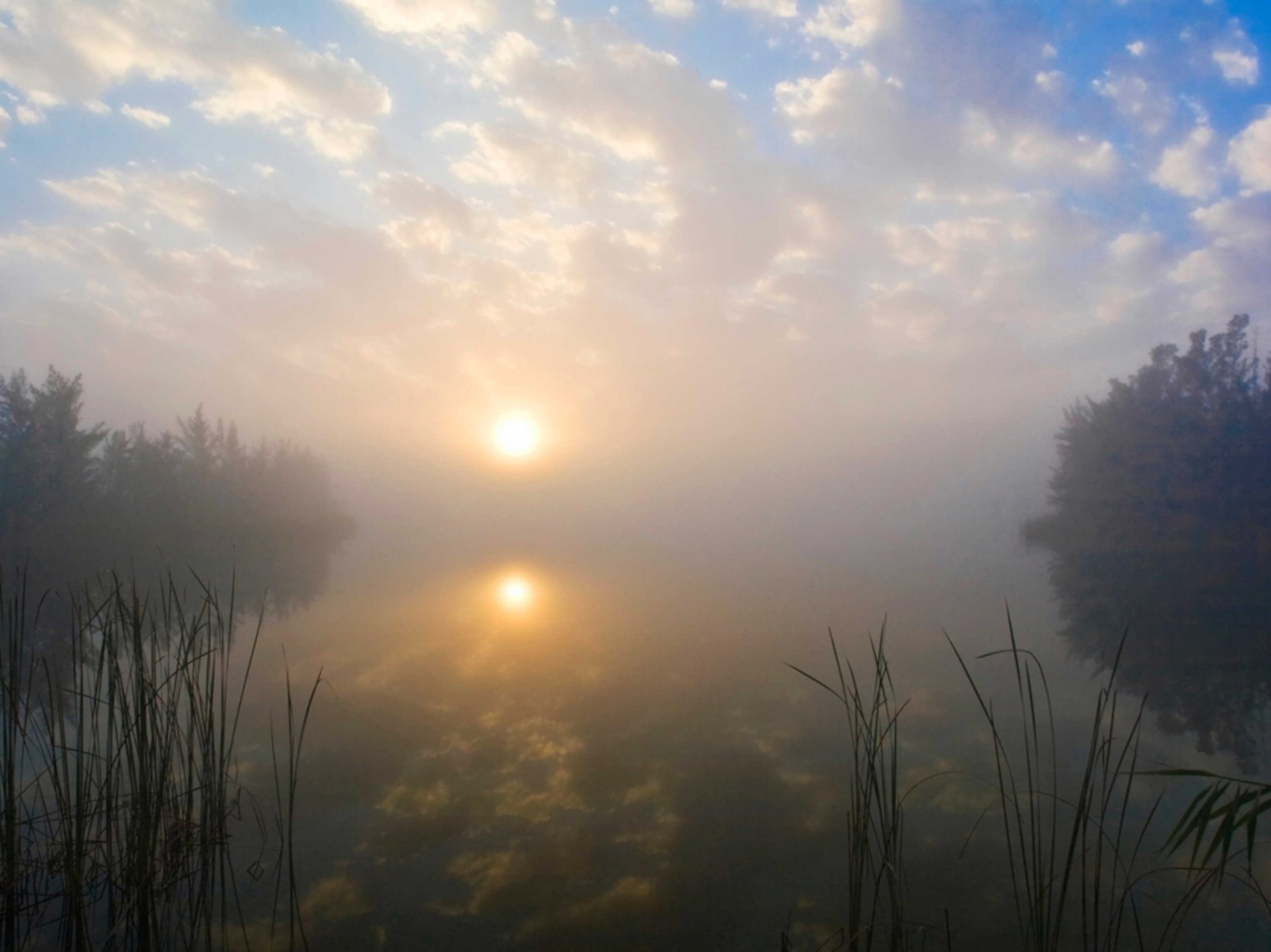 a foggy lake at sunrise in Homestead, Florida