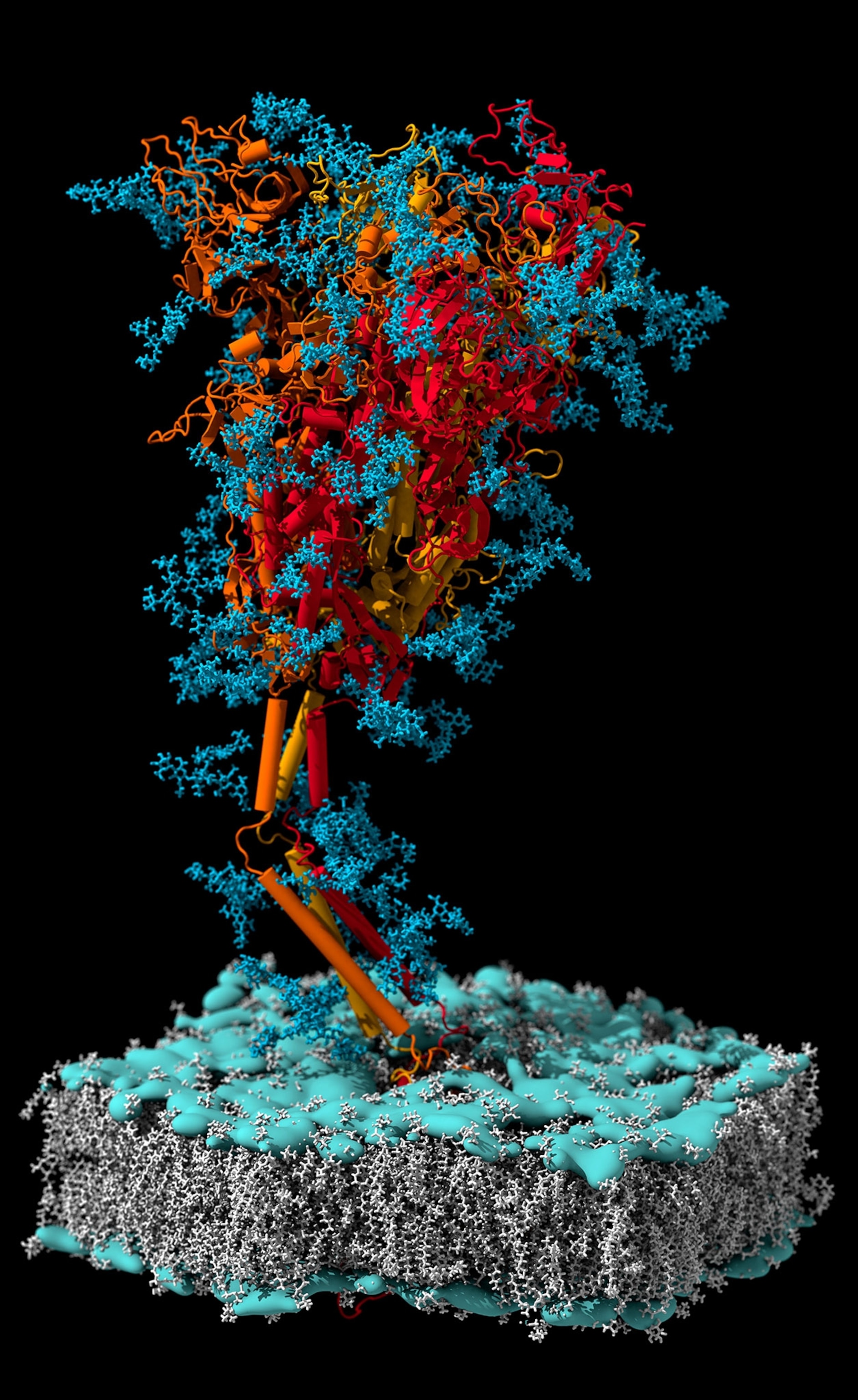 colorful structure looking like a tree.