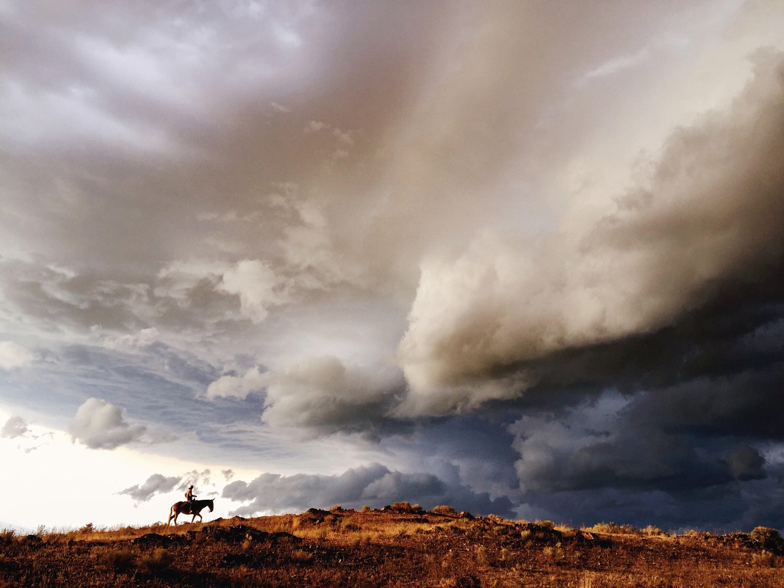 a man on a mule on a cloudy horizon
