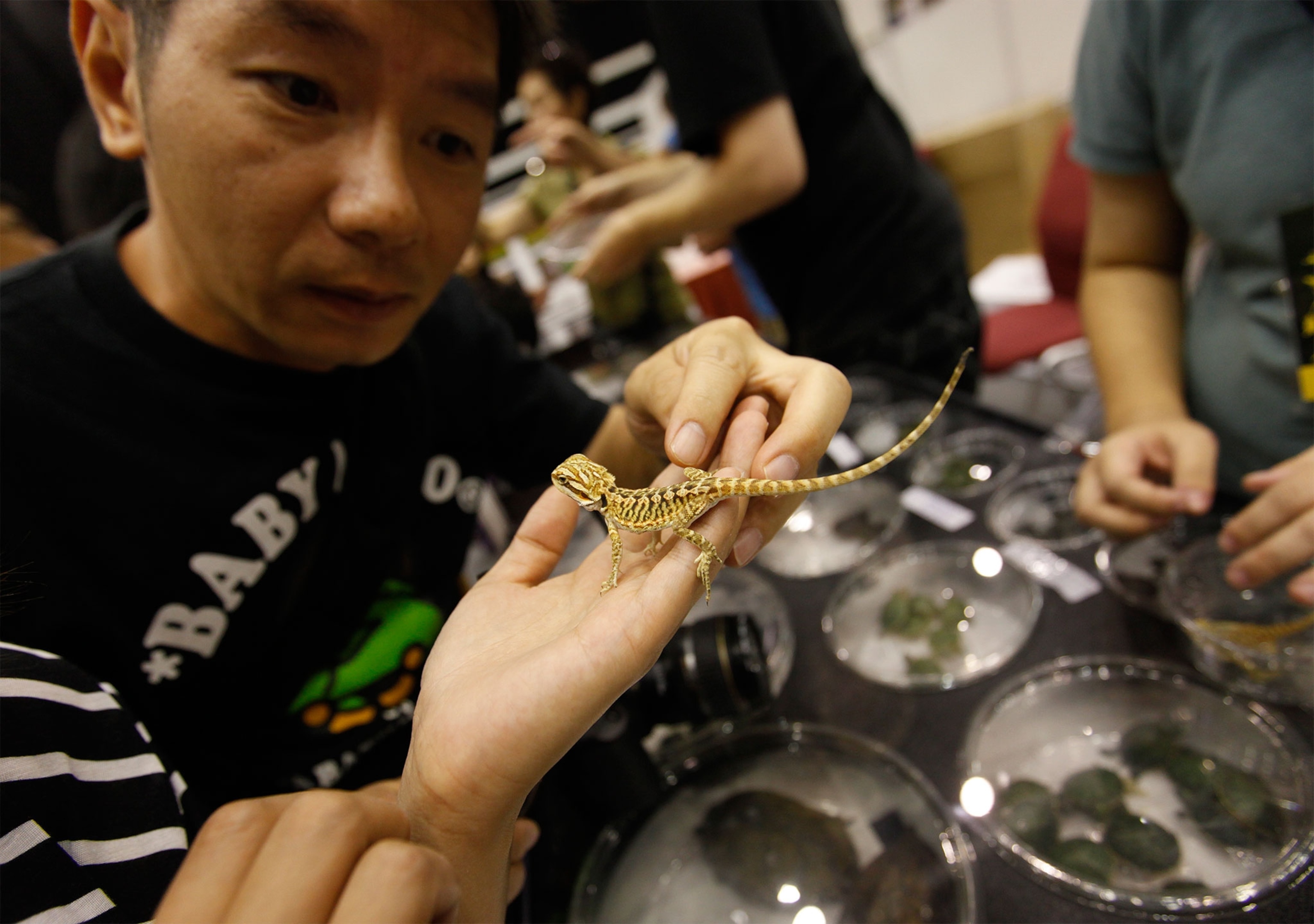 a man looking at a lizard