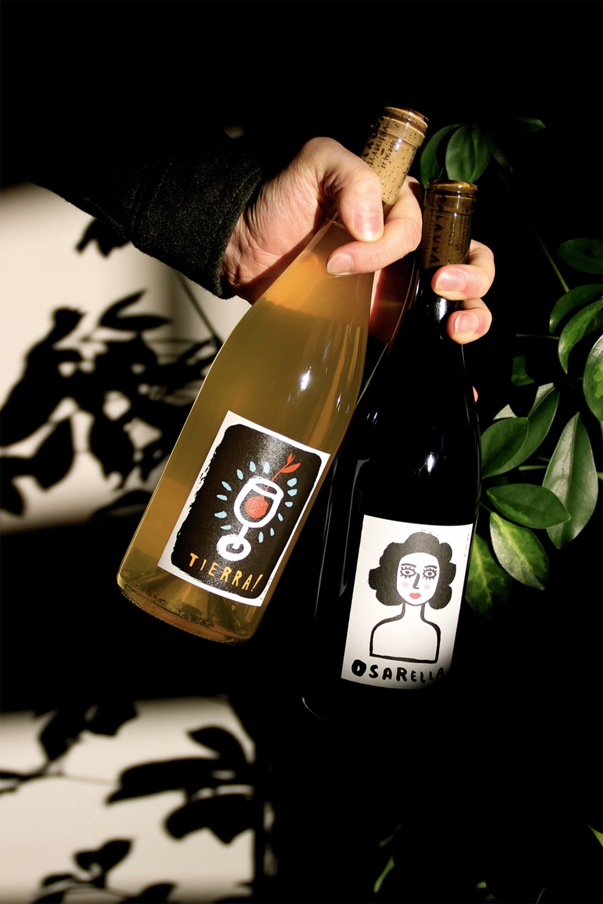 A grape escape 7 of Edinburgh's best wine bars