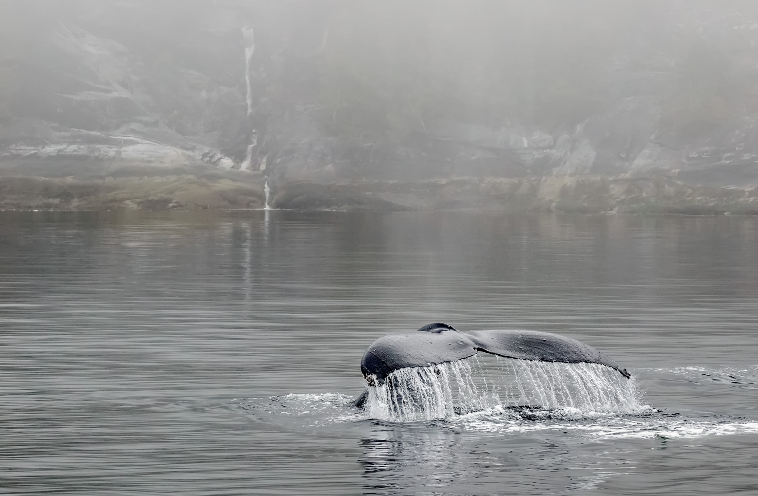 ''The level in the EOS 7D Mark II viewfinder is wonderful for me. Especially on the water, when the boat is moving, we can make sure we have our horizons level.''—Charles Glatzer