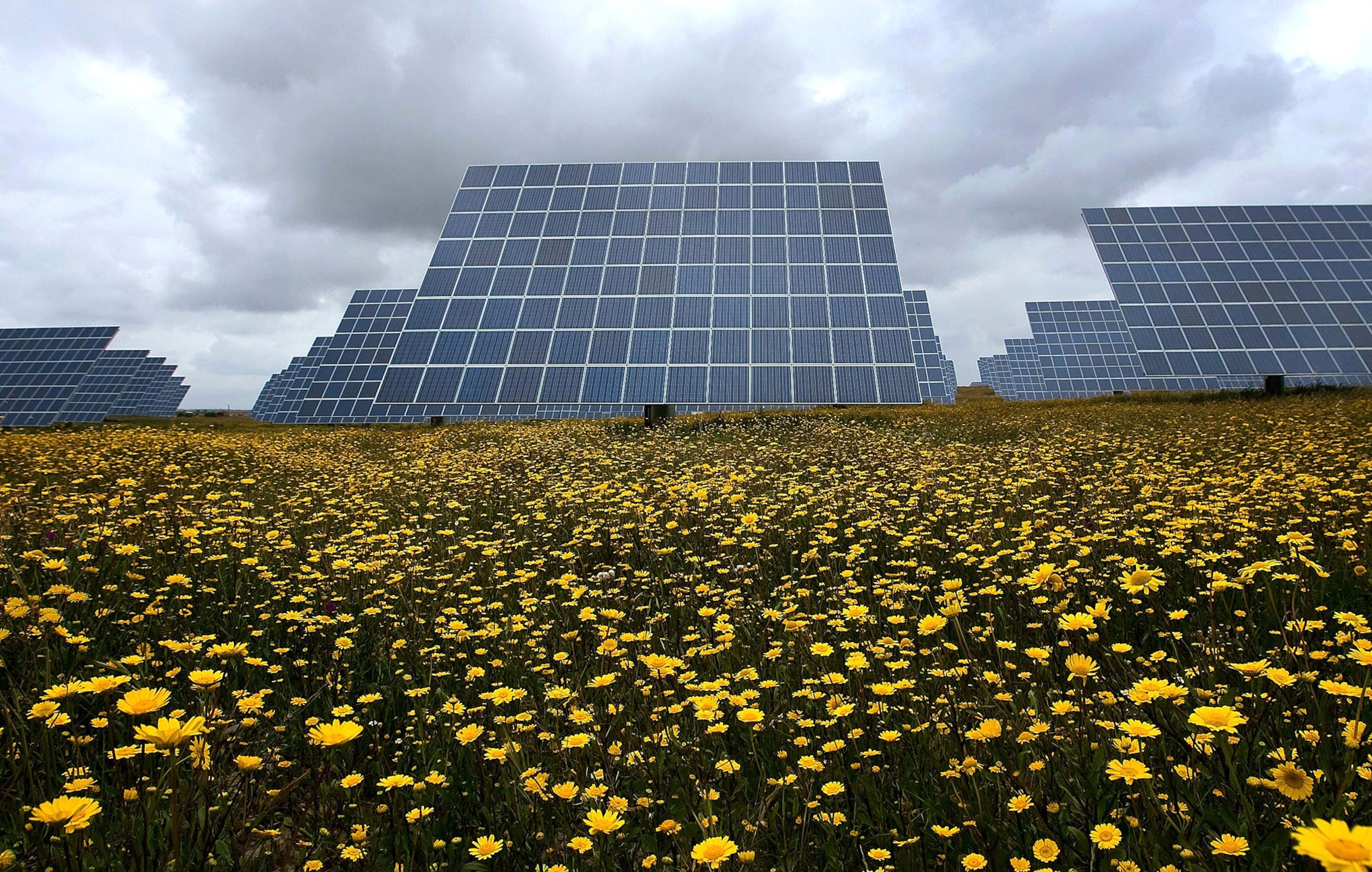 solar panels in Portugal