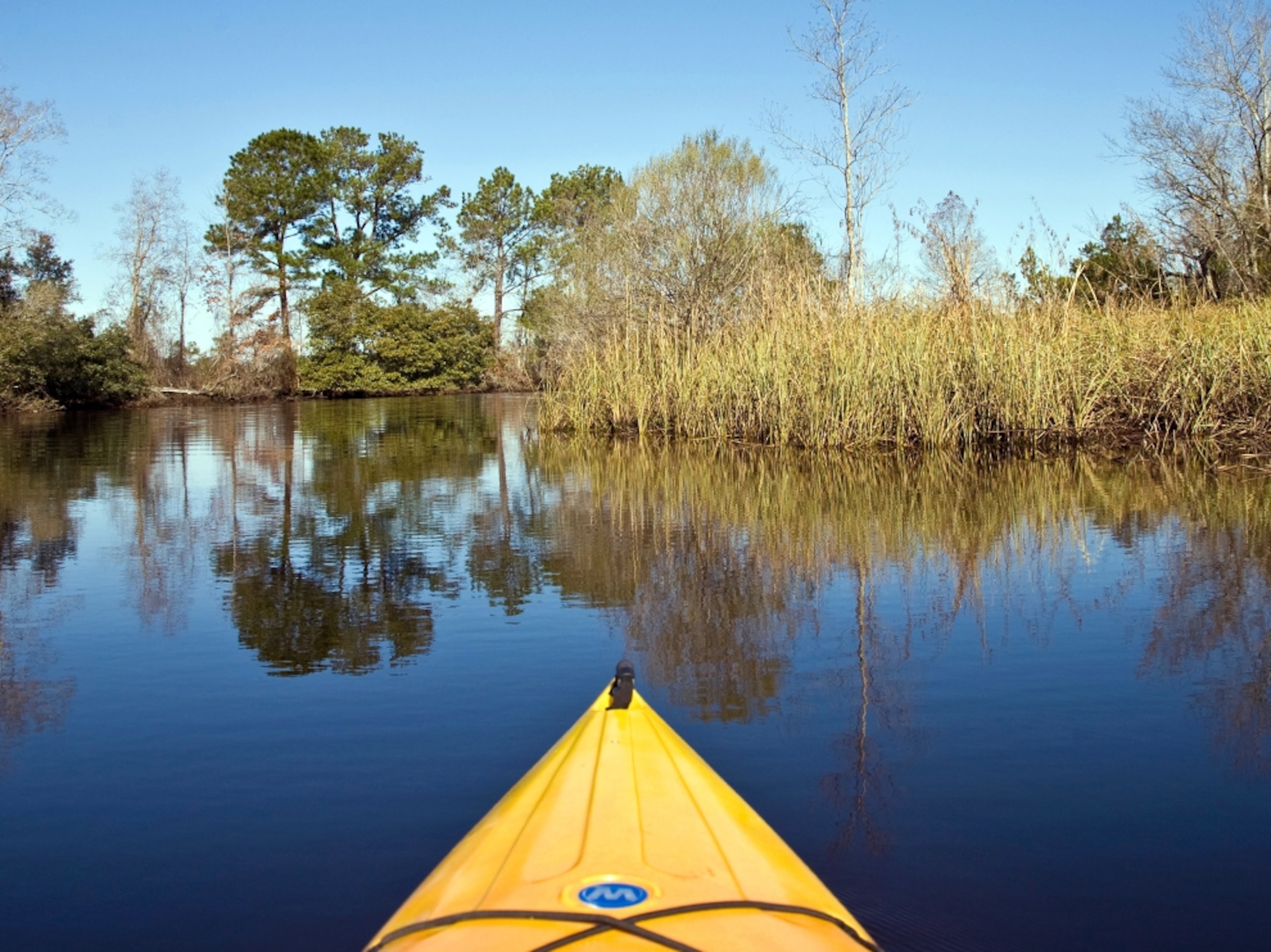 Kayaking through former rice paddies