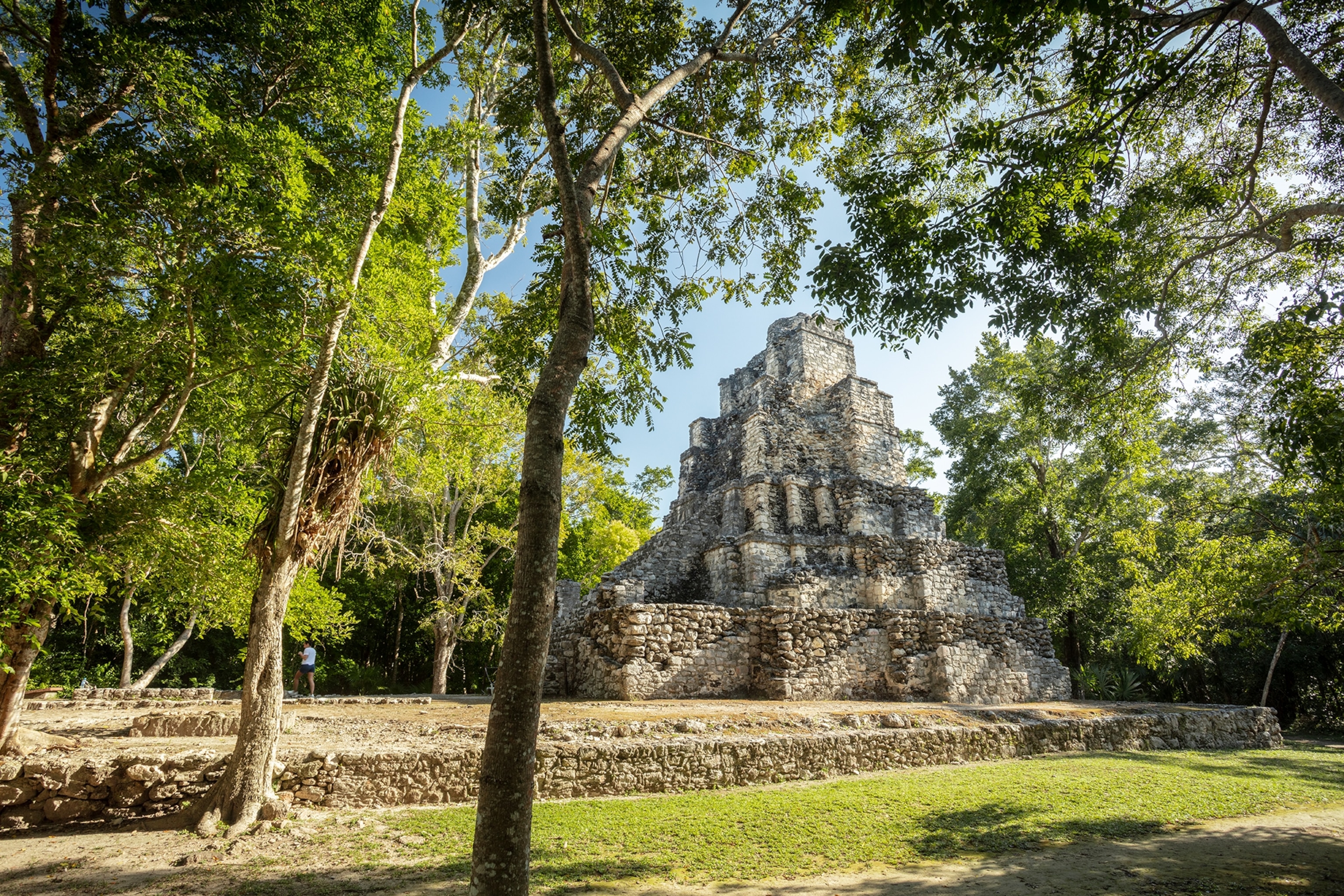Ancient stone ruins of a stepped pyramid rise from a clearing in a dense forest, with sunlight filtering through tall trees and green vegetation surrounding the archaeological site.