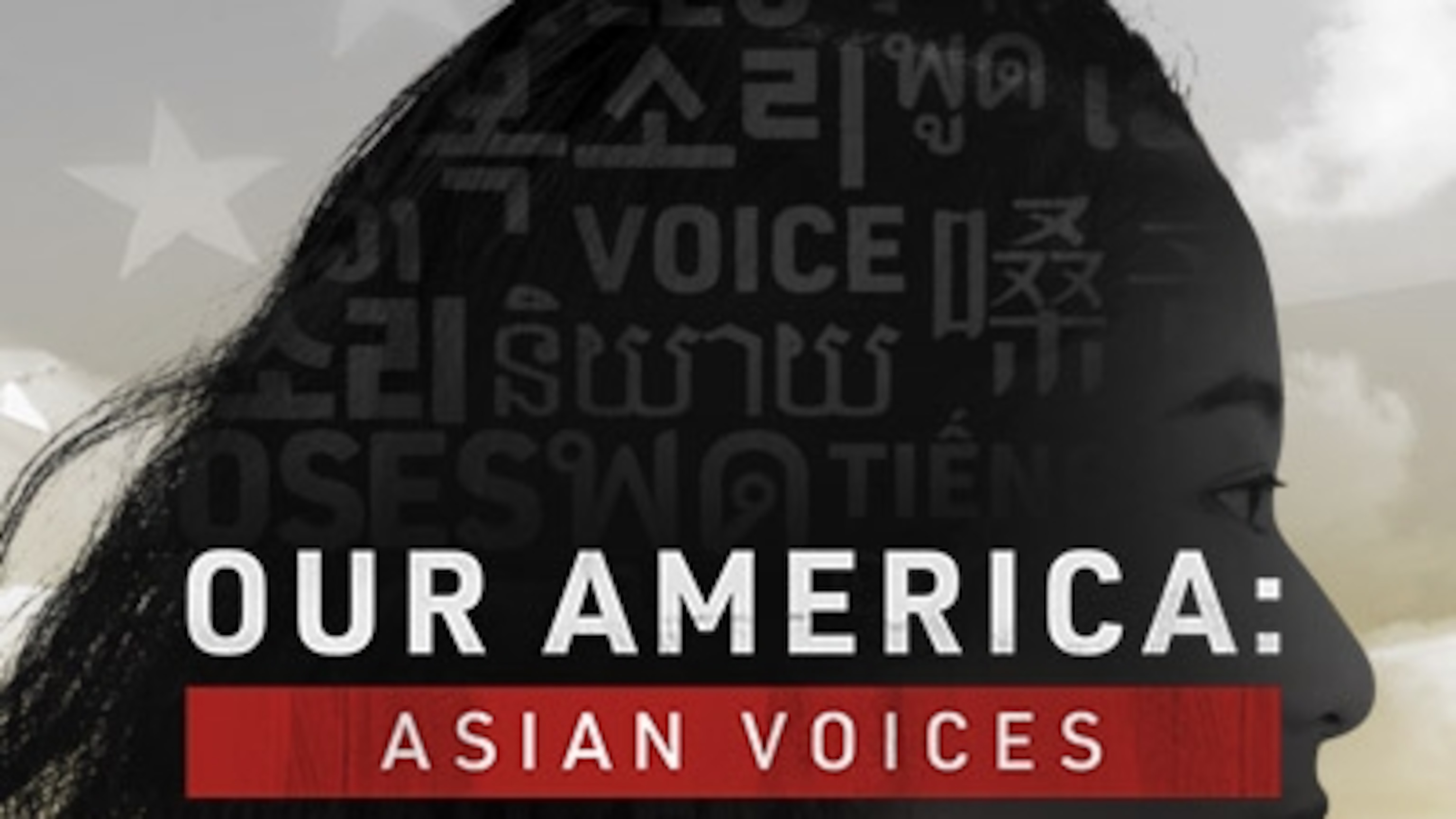 Our America Asian Voices