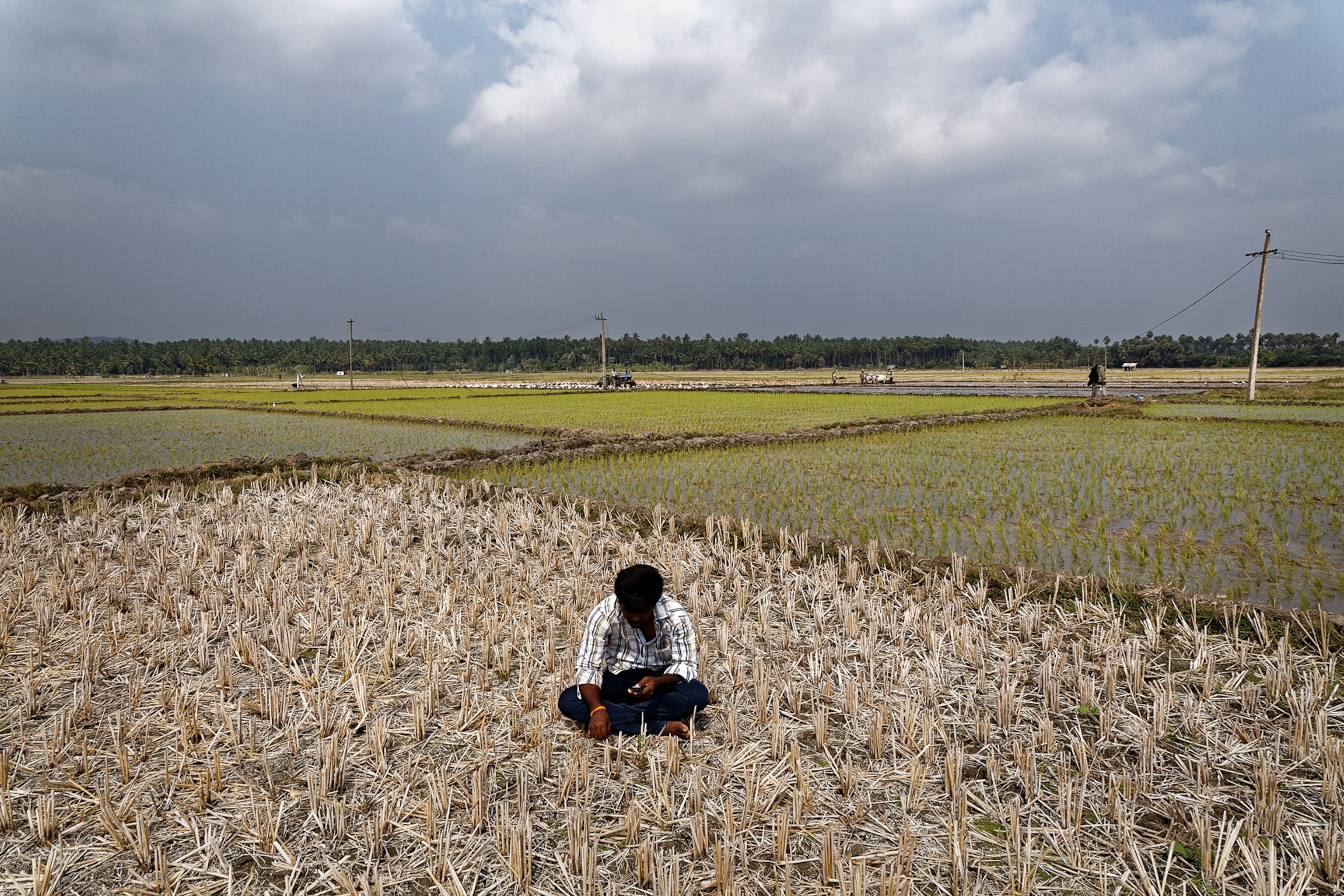 a man sitting in a field